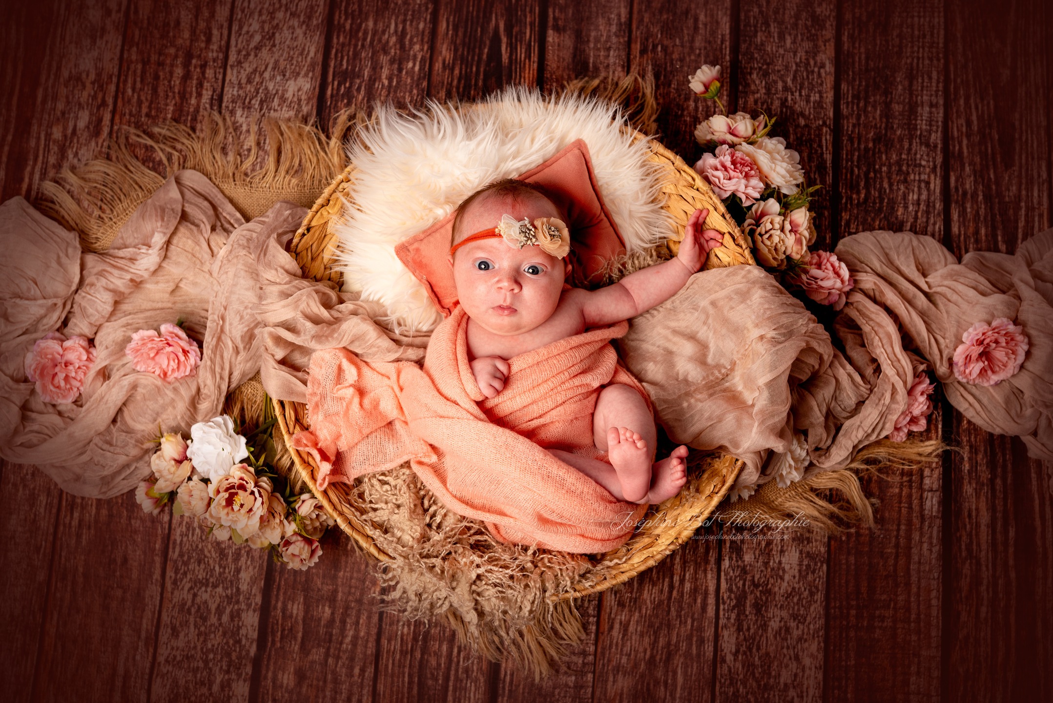 Il y a des instants dans la vie qui passent en un souffle…
et pourtant ils mériteraient de durer pour toujours.
Les premiers jours de votre bébé sont remplis de douceur, de découvertes et d’un amour immense.
Ces petits doigts, ces regards curieux, ces instants blottis dans un cocon de tendresse…
Ce sont les premiers souvenirs d’une vie.
Mon rôle est de capturer cette magie, pour que ces moments si précieux puissent être revécus encore et encore, même lorsque votre tout-petit aura grandi.
✨ Les séances nouveau-né se réalisent idéalement dans les 15 premiers jours de vie.Les réservations se font pendant la grossesse afin de garantir une place dans mon agenda.
📩 Réservations et informations via mon site internet: www.josephinebotphotographie.com
#photographenouveaune #photographebébé #photographematernité #photographefamille #bébé