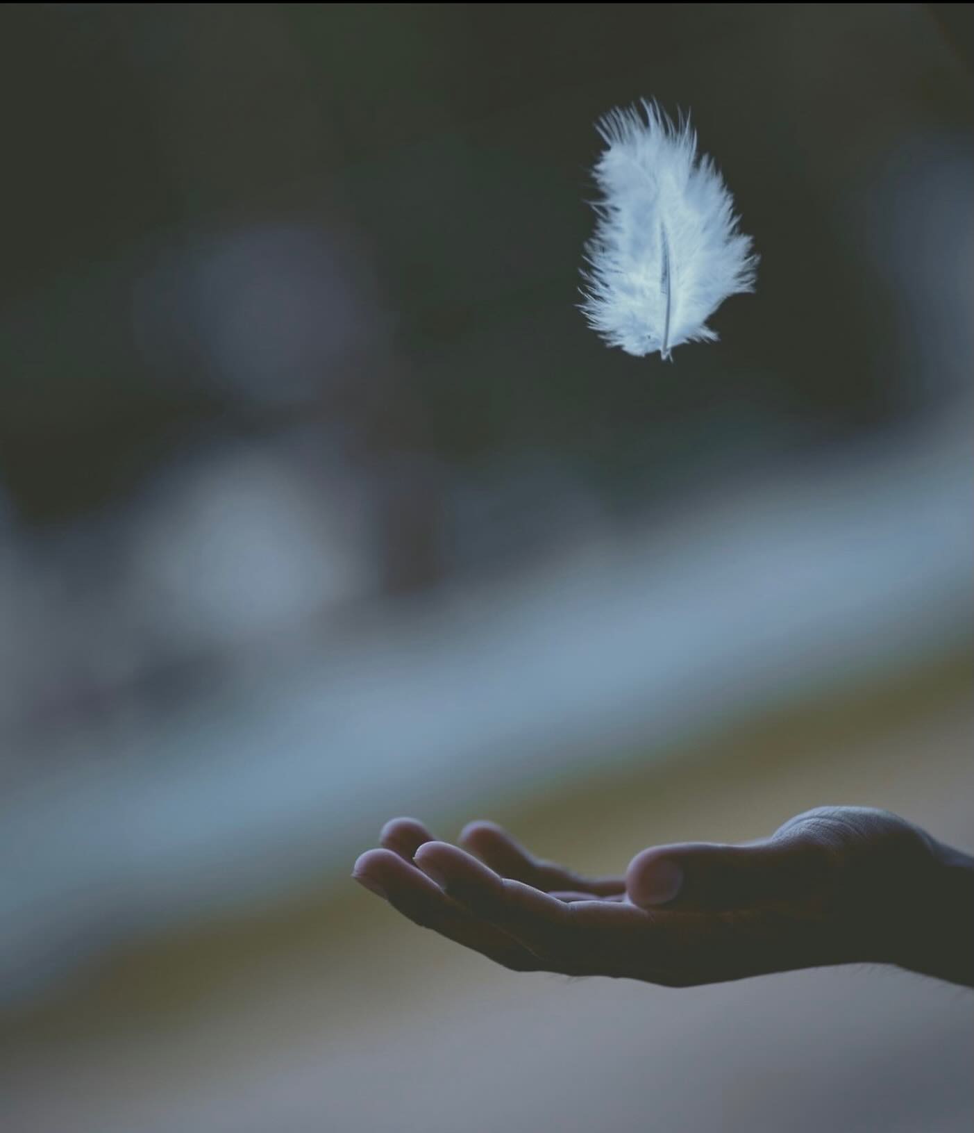 If your nervous system has been stuck in “survival mode”, Craniosacral Therapy can help guide it back to calm.
If winter has left you feeling tired, tense, overwhelmed or out of balance, Craniosacral Therapy offers a gentle way to reset your nervous system and support your body’s natural healing.
Heather is in the Apothecary every Friday offering this deeply restorative treatment, which can help with:
• stress, anxiety & nervous system overwhelm
• headaches & migraines
• chronic pain & tension
• fatigue & burnout
• hormonal & emotional balance
• recovery after illness or injury
Subtle, calming and incredibly powerful, many people leave feeling lighter, clearer and deeply relaxed.
Ready to step into spring feeling more like yourself again?
Heather’s Friday appointments are limited — message us, swing by the website or pop into the Apothecary to book your session.