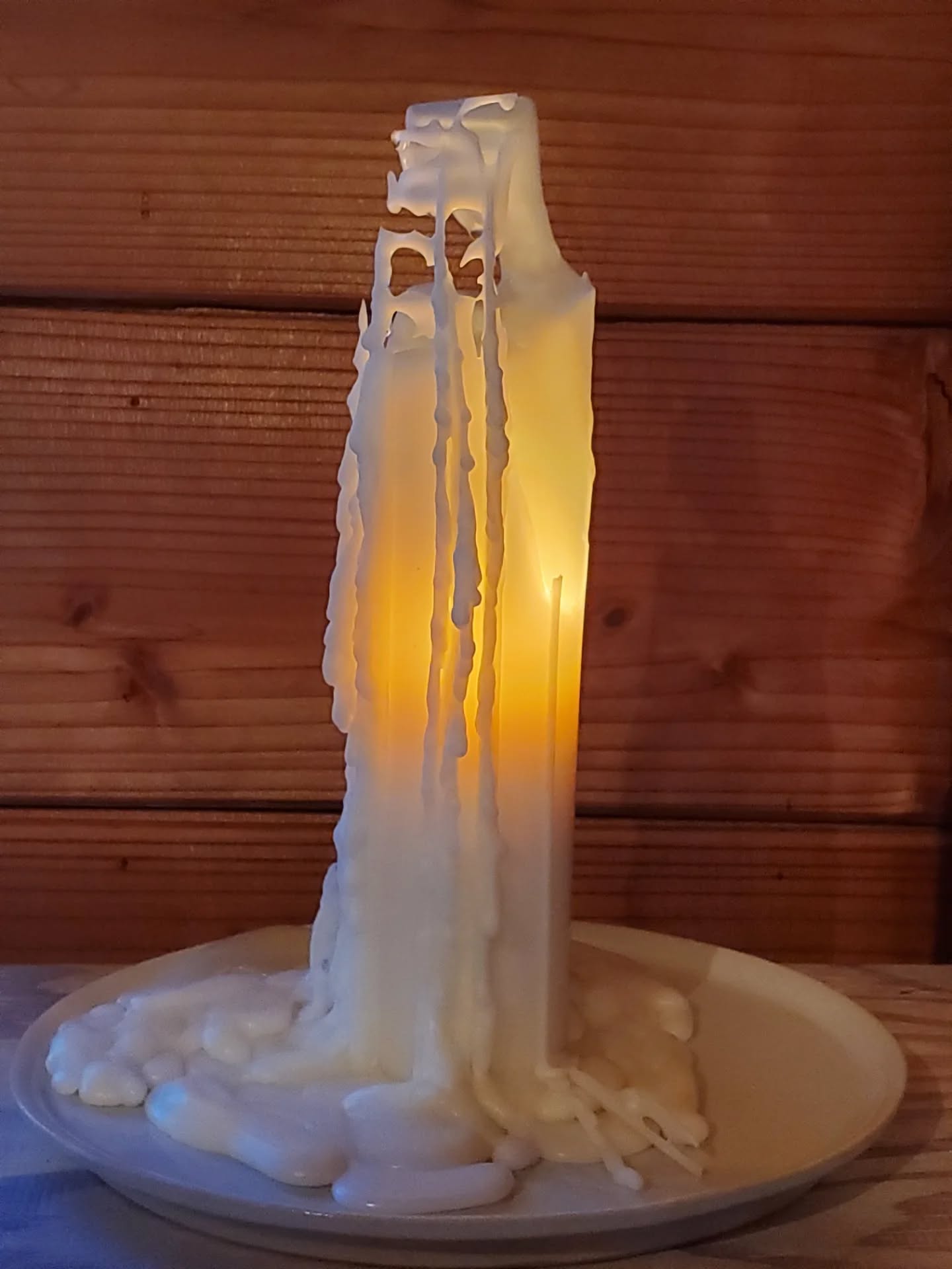 2026.3.8
製作空間を整えてくれた🕯
ich メリケンカルカヤ
顔料を受け取った当時はその植物の名前も存在も知らなかった。
どこにでもあって、地味な感じだけど草木染めすると鮮やかな黄色に染まります。
名前を知って実際に植物の認知ができたのは2年くらいかかりました。
確かに!
あちらこちら、アスファルトの裂け目や中央分離帯の植木の間から伸びてたり。どこにでも遭遇できる植物です。
風に吹かれて種を遠くまで飛ばし繁殖力も強く、外来種の雑草として扱われるので駆除対象となり嫌われがちな植物でもあります。
雑草という括りや
外来種だから、在来種でないととか
そこに必要あって存在してるのをジャッチするのは苦手で。
調べてみると乾燥した土地や酸性土壌にも負けない。
根が深くて強いのもこれ以上乾燥しないようにしてくれていたり、ここの土は酸性ですよと教えてくれてたり。
酷な環境でも生き抜くタフな精神力や状況に適応して根を下ろすグランディングのエネルギーを象徴した植物です。過去のものを手放し、次のステージへ向かうための転換期や風の時代のエネルギーとも結びつけられるメリケンカルカヤ。
火のエナジーと掛け合わせることで、『今の私でよい、地道に積み重ねてく、根強さ、根気、生き抜く』イメージングを活性化してくれそうな感覚です。
灯している時間、現在過去未来のマイナス的な要因が浮かんでは切り替え早く乗り越えていけそうなイメージングが次々やってきていました。『わたしがわたしらしく、私であっていい』
文章におとすと強いイメージとなりますが、灯っている姿はなんとも穏やかで、静かで、やわらかさを纏っています。
これからどんなことが起ころうとしているのか、なにがあっても『大丈夫』というオーラを纏っているのでしょうか。それが穏やかさとして感じられるのかなと。
風に舞って種を飛ばす時期、
タイミングがくれば、風に乗って新たな場所で根を下ろせばいい。軽やかさもありますね。
メリケンカルカヤ配合のich は
春分にお届けするキャンドルセットにて製作となります。
受付期間は10日(火)まで。
詳細は @empfangencandle
プロフィールリンクHPよりshopへ
