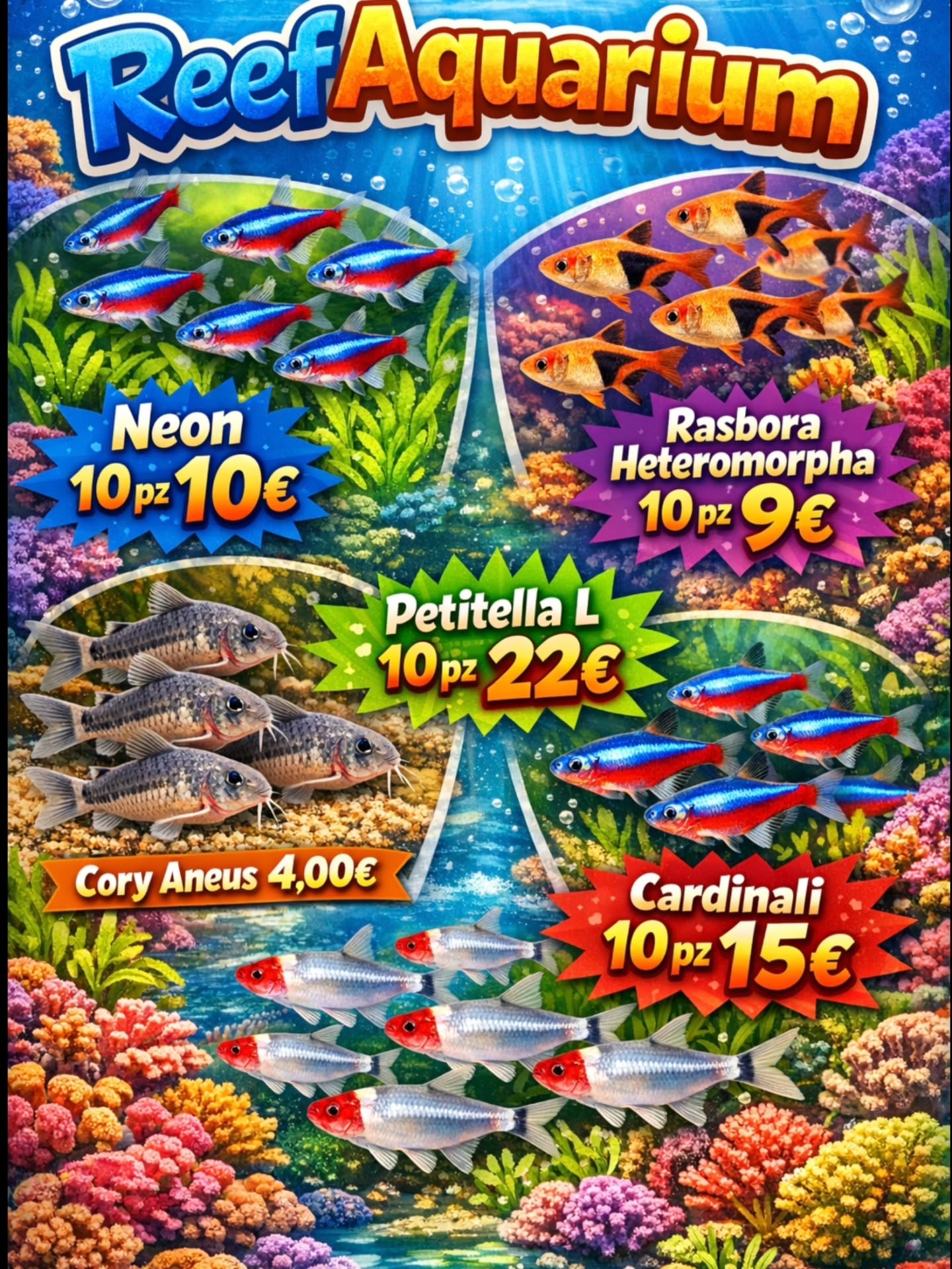 🐠 ReefAquarium – Offerte pesci d’acquario! 🐠
Approfitta delle nostre promozioni sui pesci da branco, perfetti per dare movimento e colore al tuo acquario! 🌿✨
🔹 Neon – 10 pezzi 10€
🔹 Rasbora Heteromorpha – 10 pezzi 9€
🔹 Petitella L – 10 pezzi 22€
🔹 Cardinali – 10 pezzi 15€
🔹 Corydoras Aeneus – 4€ cad.
💥 Offerte valide fino a esaurimento disponibilità!
#ReefAquarium #AcquarioDolce #PesciTropicali #Aquascaping