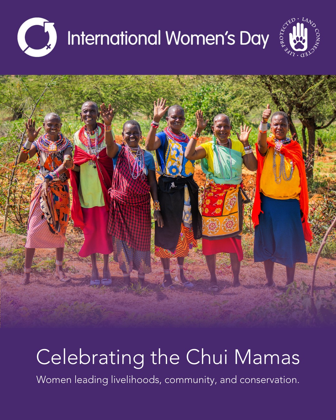 This International Women’s Day, we celebrate the incredible women leading change across the Loisaba landscape.
At the Chui Mama Centre, nearly 1,000 women are building sustainable livelihoods rooted in conservation, culture, and community. From beadwork and tailoring to climate-smart agriculture and mentorship programmes for girls, the Centre is helping women strengthen household incomes, support their families, and play an active role in conservation.
Community-owned and women-led, the Chui Mama Centre was established with support from Loisaba Conservancy and San Diego Zoo Wildlife Alliance, with the vision of becoming a fully self-sustaining hub for women’s leadership and conservation livelihoods.
This International Women’s Day, we spoke with Ellie, a member of the Loisaba Community Trust Board of Directors, about the impact of Chui Mamas and the vision for the future.
Read the full story: www.loisaba.com/post/international-women-s-day-celebrating-women-in-conservation
#LandConnectedLifeProtected #InternationalWomensDay #ChuiMamas #WomenInConservation #CommunityConservation #Loisaba