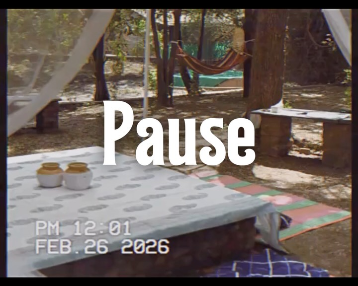 Introducing Pause by Paisley Experience.
A new experience on the farm, for when just a lunch at the restaurant doesn’t quite cut it.
An old-fashioned picnic served in tiffins, enjoyed slowly beneath a tamarind tree. A long afternoon, a little shade, and the space to simply stay awhile.
To book, WhatsApp us on +919082804116.