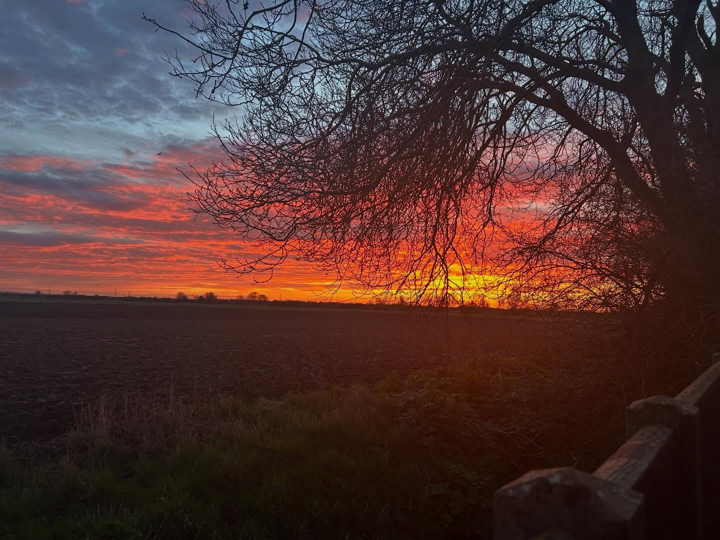 We really enjoyed meeting everyone who popped into the shop for the World Book Day books ( or should that be World Book Day week?? 🤔)
And a huge thank you to all the parents who sent us photos of their children in their fabulous WBD costumes. We loved seeing all of your creations!
On Monday we rose to the most beautiful sunrise to set off to Kings School, Ely where we were invited to hold a pop up World Book Day bookstall for the junior school. We had such a great day meeting everyone and finding out about their favourite reads. A huge thank you to librarian Alison and her team @kingselyofficial!
We still have some stock of the WBD books so if you’ve not got yours yet come and find them in our Children’s department. 😊📚📚