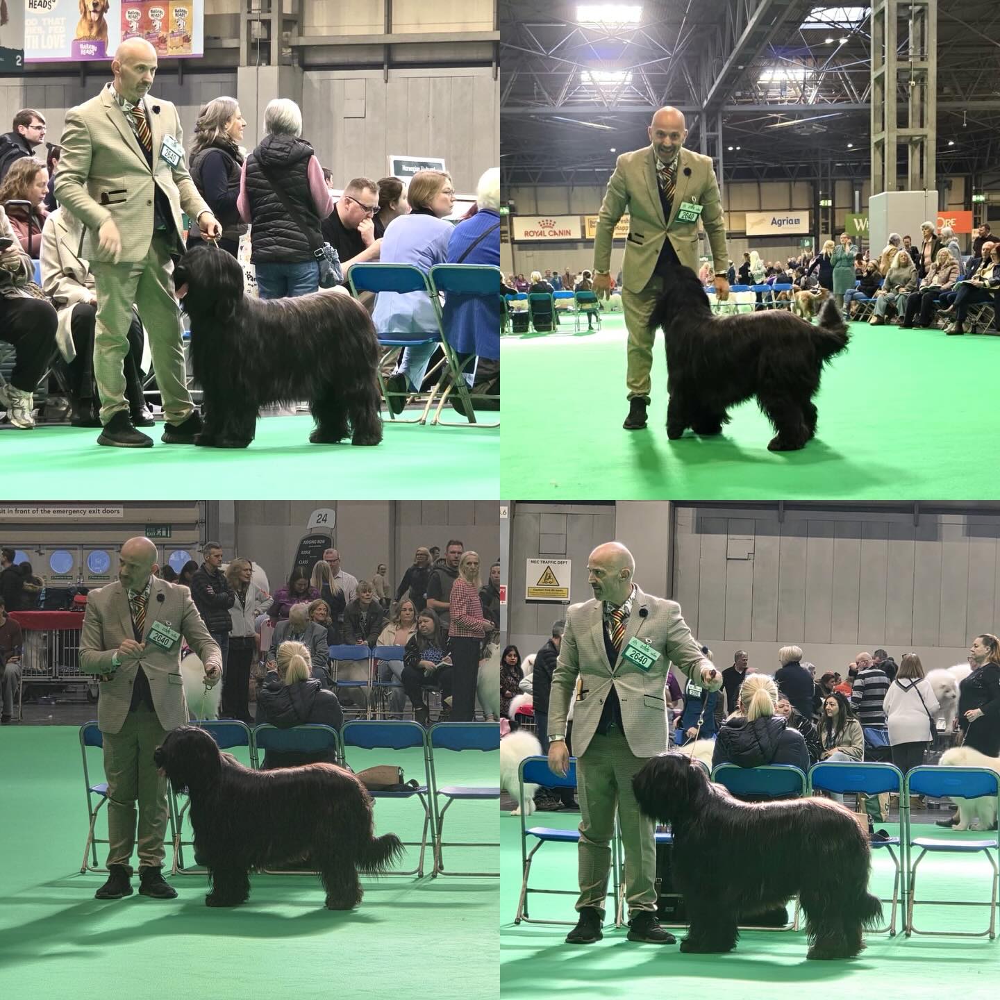 Congratulations to Paul & Jasmine for doing so well at Crufts last week 🐾🎉 we’re all really proud of them!