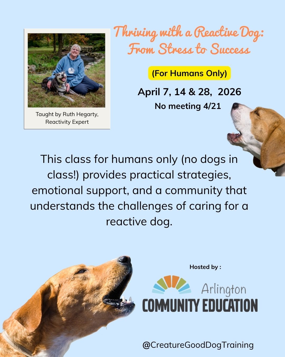 I know how lonely it can feel to live with a reactive dog.
The canceled walks.
The tight grip on the leash.
The constant scanning for triggers.
The wondering if you’re the only one dealing with this.
You’re not.
✨ Thriving with a Reactive Dog: From Stress to Success is a humans-only class designed to give you the tools, clarity, and support you deserve.
No dogs in class.
No judgment.
No quick-fix gimmicks.
Just practical strategies you can actually use… emotional support from someone who truly gets it… and a room full of people who understand the unique challenges of loving a reactive dog.
📅 April 7, 14 & 28 (no class 4/21)
📍 Hosted by Arlington Community Education
👩🏫 Taught by Ruth Hegarty, Reactivity Specialist
If you’ve been wishing for guidance, structure, and a community that sees you — this is it.
Come learn how to change your walks, rebuild your confidence, and create real progress in a way that feels compassionate and doable.
Spots are limited, and this one tends to fill.
DM me for the registration link 💙