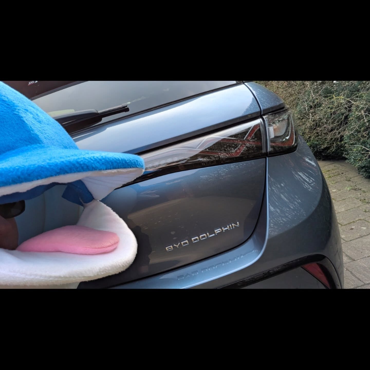 When it came to buying a new car, there was really only one choice @byd.uk 🐬🐬🐬