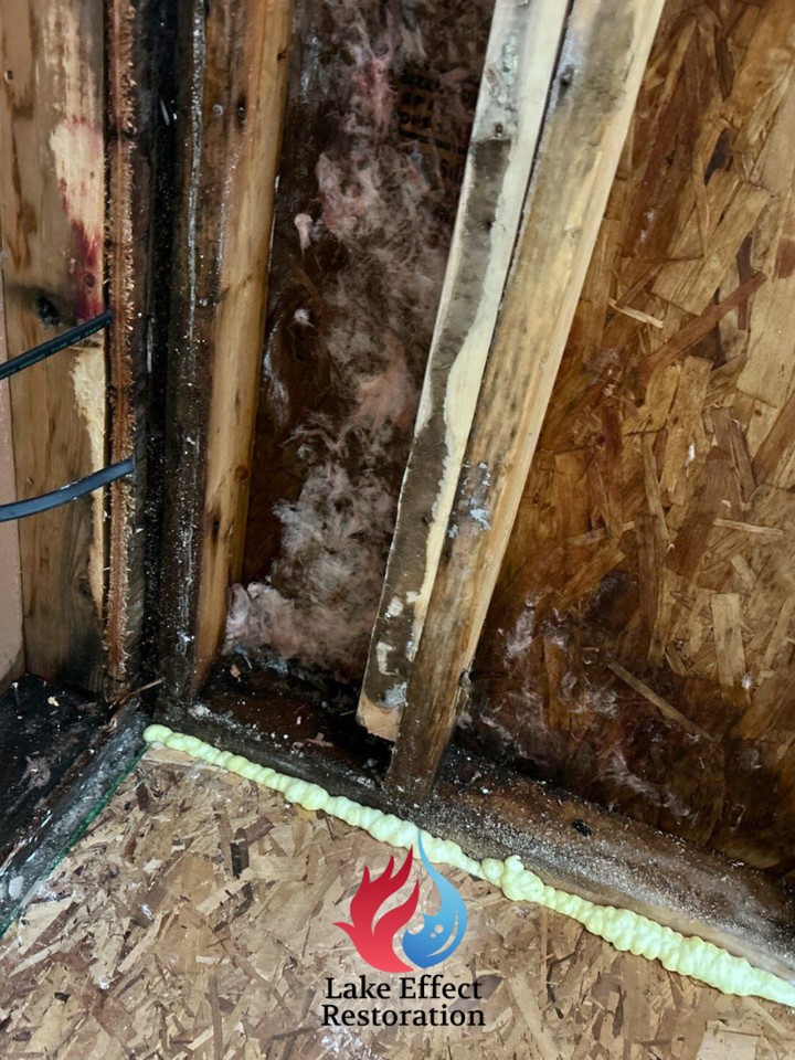 A small water leak can seem easy to ignore, but the hidden cost often shows up later.
Moisture that gets into your walls does not just dry on its own. It can soak insulation, wood, and drywall, creating the perfect environment for mold and mildew to grow where you cannot see it. Over time, that hidden damage can affect air quality, weaken materials, and lead to much more expensive repairs.
Prevent mold before it starts. If you have or have had a water leak and need help, call us at (231) 883 4183 and let our team take a look before a small leak turns into a bigger problem.