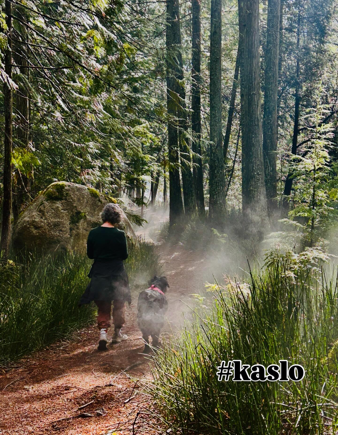 @victoria.mcallister.12 #rivertrail