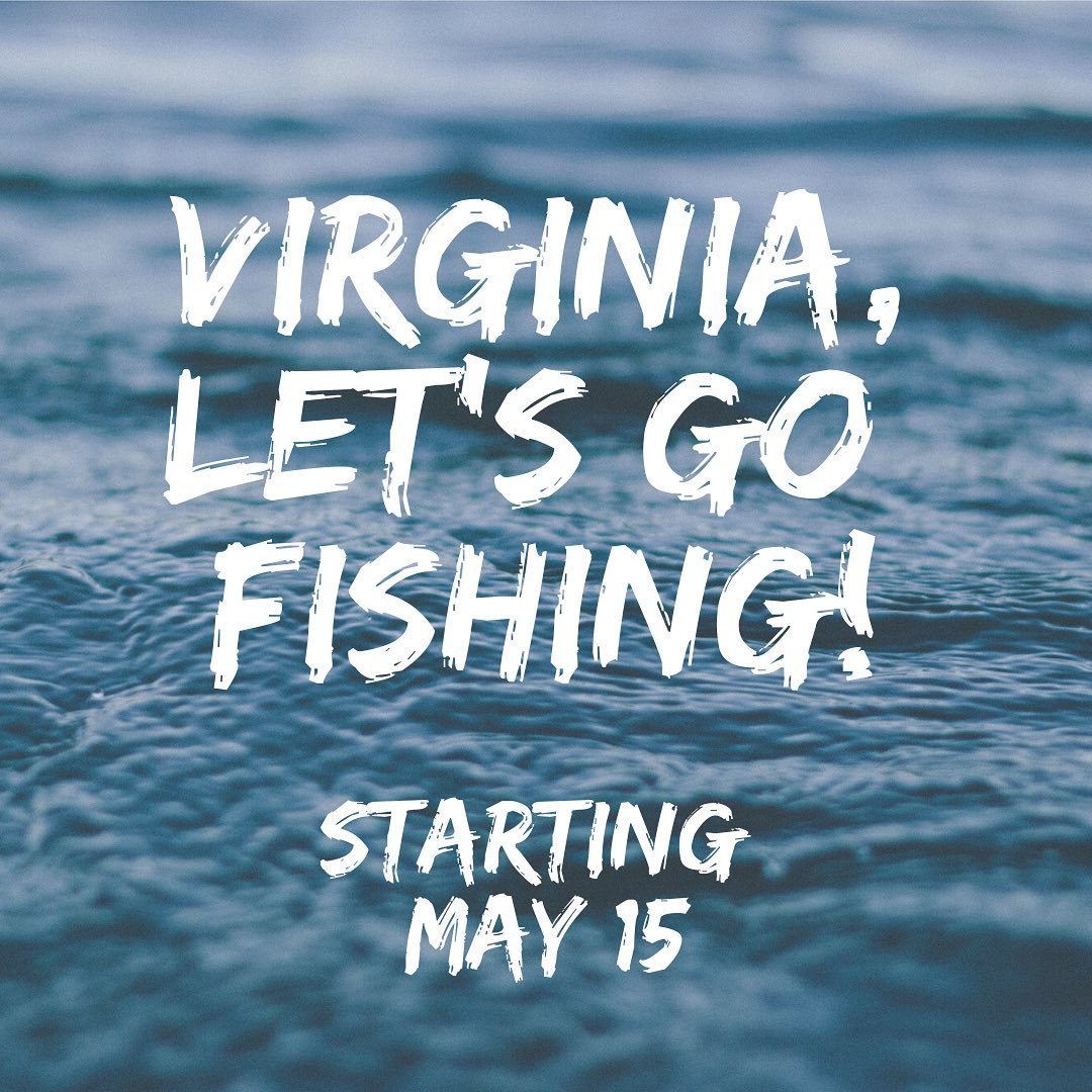 Starting May 15, Virginia is loosening restrictions on non-essential businesses such as ours. Beginning this Friday (5/15) we are able to start fishing again! To book a charter, visit our website (link in bio) or give us a call at (804) 658-8139.
.
.
As the coronavirus, #COVID19 , affects our communities, HAVOC Charters makes your health and safety our top priority. We are attentive; following all federal, state, and local health advisories to operate during the pandemic. Before, during, and after your trip, we will be adhering to the following routine requirements in order to reduce the possibility of any crew members exposing their fellow crew or anglers to illness. .
.🐟Crew Wellness Checks: Before and after each trip, our crew will continue to self-monitor our health and symptoms. .
.🐟 Personal Protective Equipment for Crew Members: Our crew will seat all required protective equipment, such as face coverings, and wash hands on a routine schedule. Gloves will be provided for crew, emphasizing that this does not replace the need for regular hand washing. .
.🐟Angler use of face coverings: All customers must wear face masks at all times to ensure safety of crew and other anglers. .
.🐟Supporting social distancing: we are enforcing social distancing guidelines onboard. Trips with up to 6 anglers will be limited to families who have successfully sheltered in place together. For non-single-family trips, groups are limited to 3 anglers until further notice. .
.🐟Increased sanitization: Our crew will sanitize all common areas and surfaces on a routine schedule, every 60 minutes, using EPA-approved disinfectant. This includes all seats, rails, handles, fishing equipment, and personal floatation devices. Hand sanitizer will be provided for anglers at multiple points on the boat and passengers must sanitize before boarding. .
.
Amidst the coronavirus pandemic, please consider supporting small businesses, wherever you are. We are all in this together!