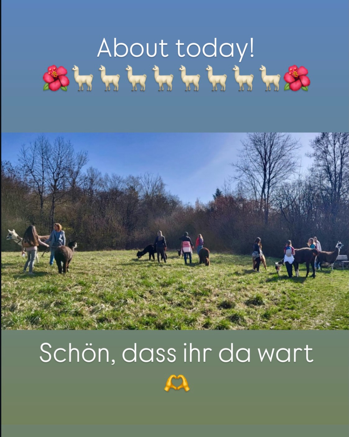 🌺
Hallo zusammen!
Was ein schönes Wetterchen und was für tolle Gäste!
Wir Lamas und Alpakas sind heute ne tolle Tour mit euch 🤗 marschiert!
Das hat uns wieder sehr viel Spaß gemacht!
Schön, dass ihr da wart!
Anschließend gab es gutes Heu und jetzt lassen wir den Tag entspannt ausklingen ✌️
Wir wünschen ein schönes Wochenende und grüßen aus dem sonnigen ☀️ Selztal,
🦙die Jungs 🫶
#lamas #alpakas #wandernmachtglücklich #stadeckenelsheim #rheinhessen
