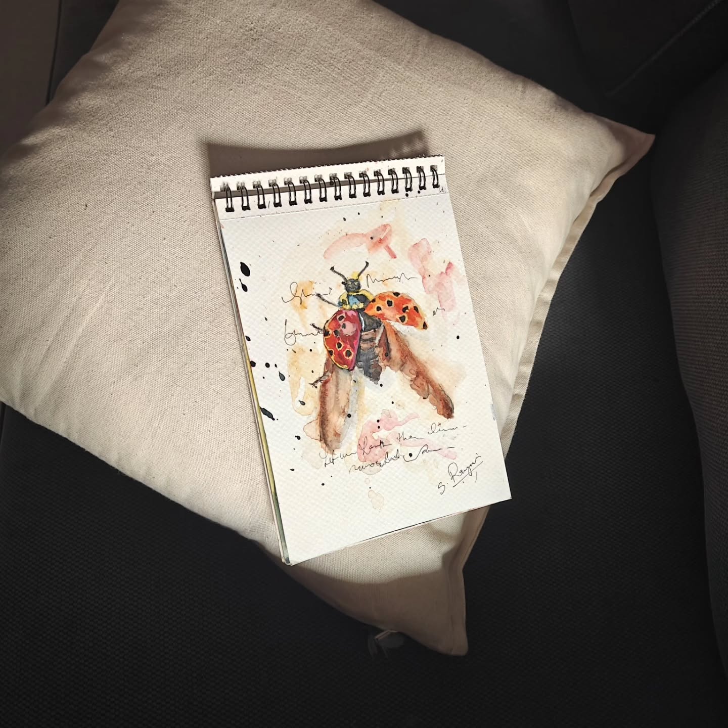 Watercolor 🐞 ladybug practice. Paint 🎨 with watercolours is so relieving, that you don't get tired, you just get another dose of energy. #watercolor #ladybug