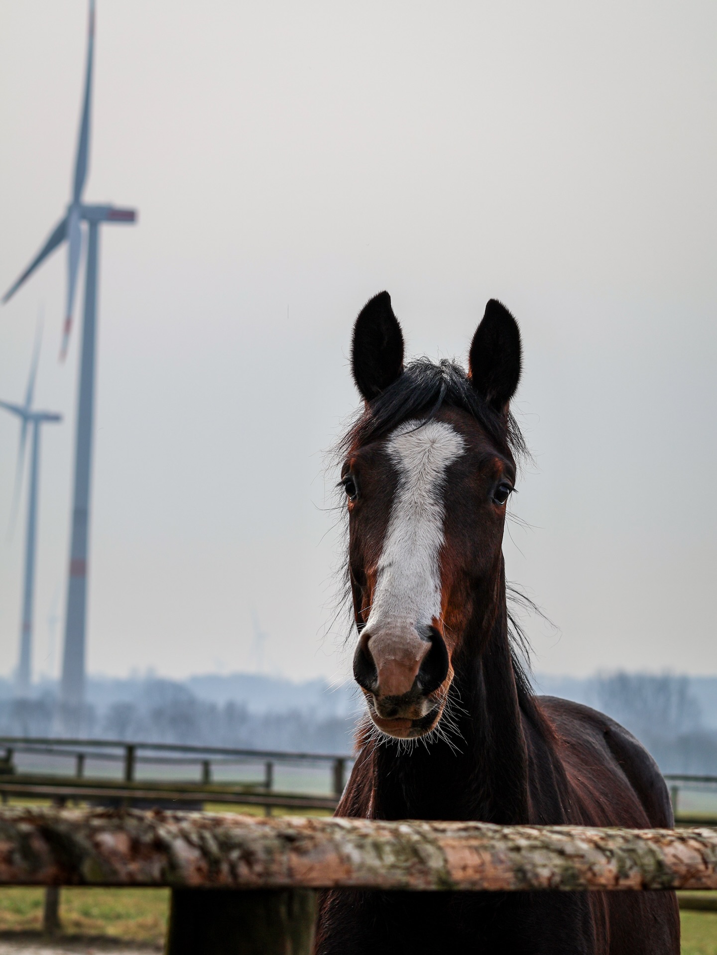 Foto-Sonntag 📸 Zum Glück kam die Sonne noch ein wenig raus 😍
———
#jarkaluther