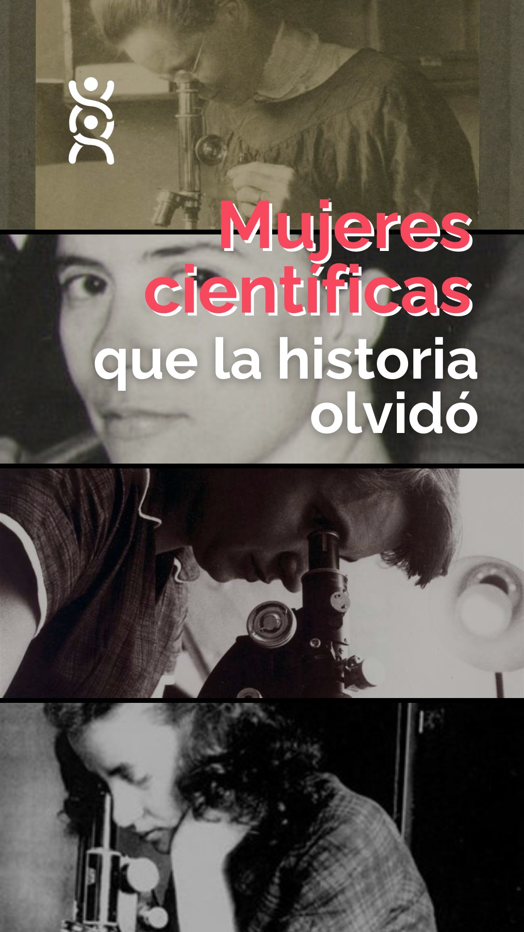Muchas de las bases de la ciencia contemporánea fueron creadas por mujeres.🧬
La revolución biotecnológica del siglo XX ocurrió gracias a descubrimientos de mujeres en la ciencia, que fueron poco reconocidas. 👩🏽🔬
Hoy no solo las recordamos, hacemos justicia a su legado para inspirar a las que vienen. ✊💜
#8M #MujeresEnLaCiencia #EfectoMatilda #HistoriaDeLaSalud #MujeresQueInspiran