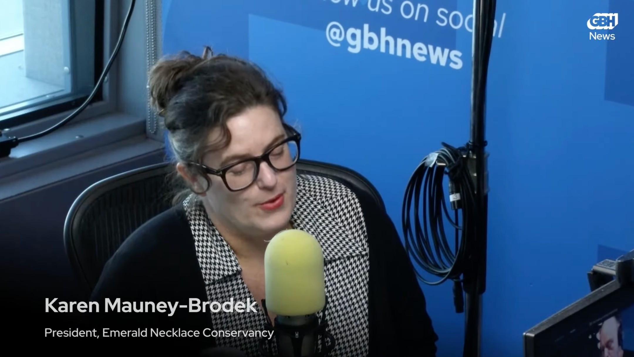 Yesterday, March 9th, Karen Mauney-Brodek, President of the Emerald Necklace Conservancy and Ed Burley of the NAACP appeared on the GBH radio - the Jim & Margery Show, to discuss the White Stadium project and what it means for the future of Franklin Park and the surrounding community. If you were not able to hear the program live, you can listen to it using the link in our Linktree!