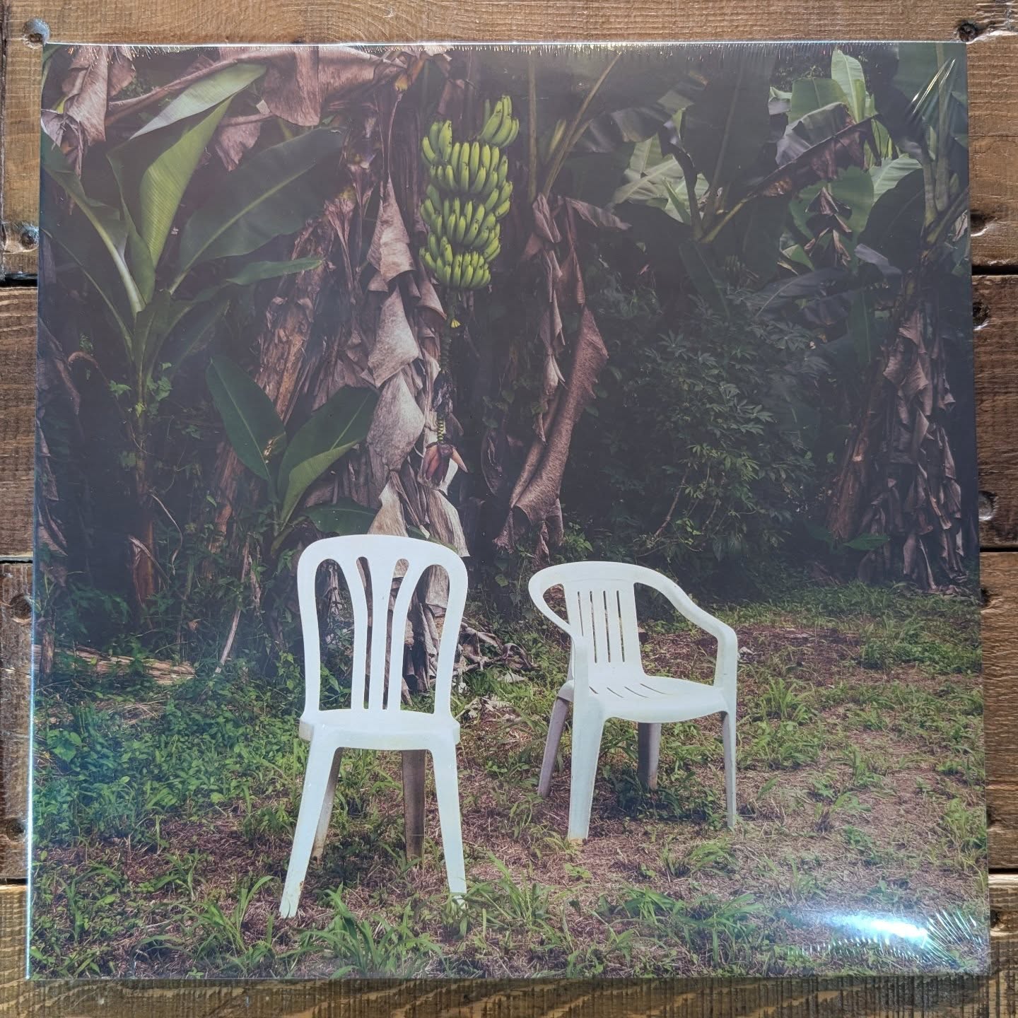It's Saturday! And what better way to spend the afternoon than to dig through some records in your local record store 🤔
Here's just a few of the latest additions to the racks. Loads more in store.
Open today until 5p.m. at 4 Park Street, SA15 3YE.
#thesecond45 #llanellirecordstore