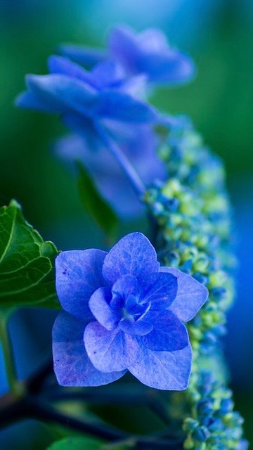 🌱Hör du också fågelkvittret?
🌿 Låt oss fira in våren tillsammans!
👉 @expressivearts