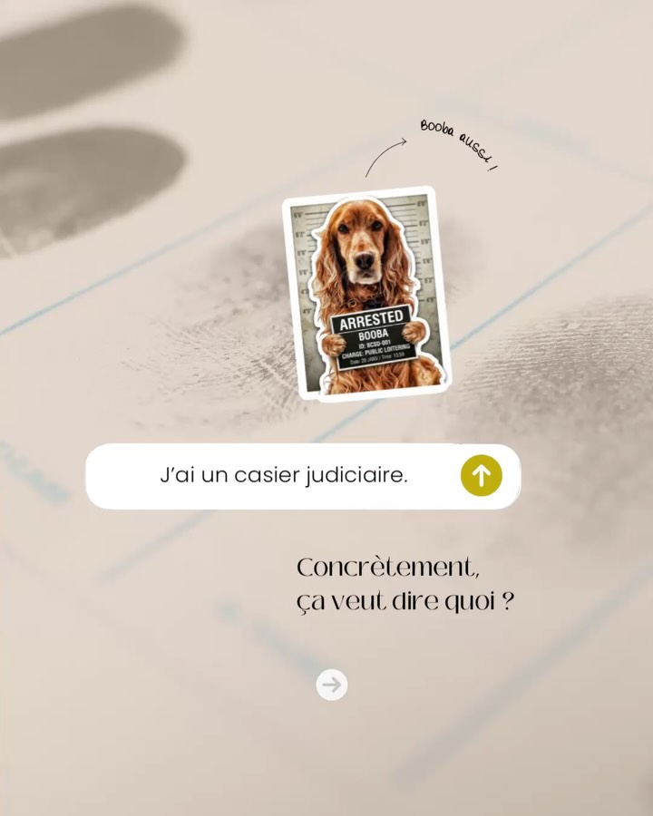 → Le casier judiciaire fait souvent peur.
Parce qu’on l’imagine comme un dossier figé, définitif et impossible à “rattraper”.
En réalité, le droit pénal belge est beaucoup plus nuancé.
Le casier judiciaire est une base de données centrale tenue par le SPF Justice.
Le document que vous recevez s’appelle un extrait de casier judiciaire.
Cet extrait reprend certaines condamnations pénales devenues définitives, pas toutes.
Il peut mentionner une peine de prison, une amende ou un sursis.
Mais son contenu dépend toujours du type de condamnation et du modèle d’extrait demandé.
On parle encore parfois de “certificat de bonne vie et mœurs”.
Il s’agit de l’ancienne appellation de l’extrait de casier judiciaire.
Autre point essentiel : une condamnation n’est pas forcément visible indéfiniment.
Certaines peines de police peuvent être effacées automatiquement après un délai légal, sous conditions.
D’autres situations relèvent d’une procédure de réhabilitation, qui doit être demandée et strictement encadrée.
C’est là que beaucoup de personnes se trompent, ou prennent des décisions sur base d’informations incomplètes.
Et les conséquences peuvent être importantes, notamment sur le plan professionnel.
→ Vous vous reconnaissez dans cette situation ? Le cabinet peut vous conseiller.
#droitpenalbelge #casierjudiciaire #avocatpenaliste #justicebelge #vtavocats