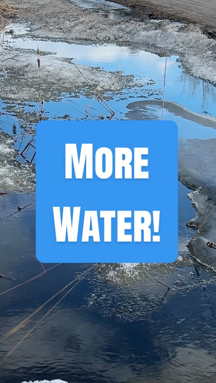 More Water! #thetoolpulse #fyp #water #springtime #viral