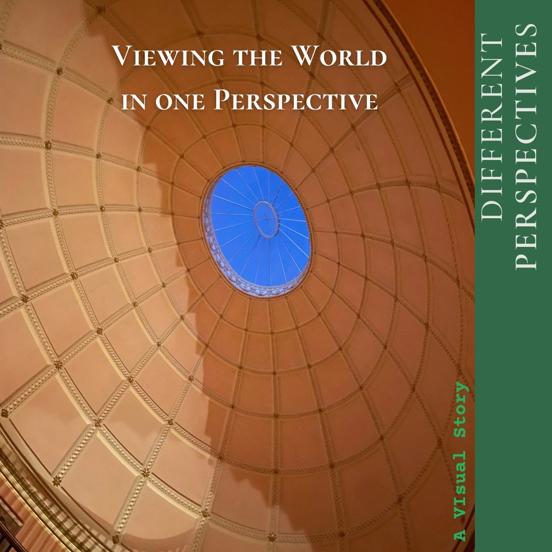 A Visual Story:
Viewing the world from different #perspectives.