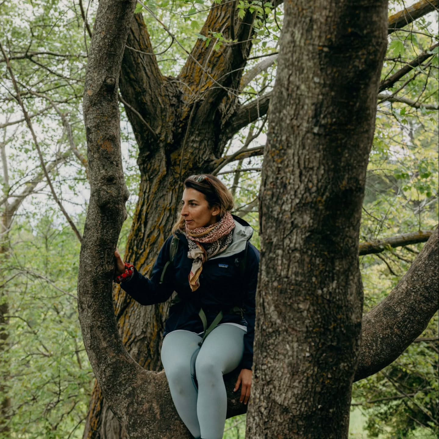 Nefeli Nine was founded by a woman and supported by an incredible team of women 💫
That energy shapes the space we create on every retreat.
Many of the women who join us come alone — solo travellers seeking adventure, rest, connection, or time for themselves. And one of the most beautiful things to witness is strangers arriving alone and leaving as friends.
To the women who help create these retreats, and to the women who join them — this community is because of you 🤍
Happy International Women’s Day 🌿
Tag a woman you’d love to go on an adventure with 🥾
#InternationalWomensDay #WomenSupportingWomen #SoloFemaleTravel #WomenWhoTravel #RetreatLife YogaRetreat HikingRetreat WomenInNature NefeliNine WellnessTravel