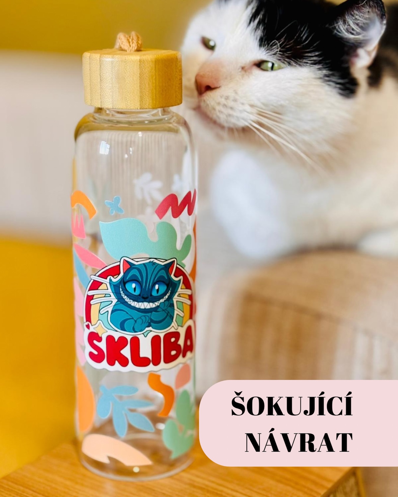 ŠOKUJÍCÍ NÁVRAT: Legenda, která měla být navždy zapomenuta, je ZPĚT!
Už jsme tomu sami přestávali věřit. Loučili jsme se s ní v slzách, pálili jsme za ni svíčky a našim fanouškům jsme smutně opakovali: „Bohužel, dodavatel zmizel v časoprostoru, láhev už nikdy nebude.“ Vypadalo to, že tahle Šklíbina stylovka zůstane jen legendou v příručkách pro pamětníky. 🕯️💔
Ale držte si klobouky (a kočky), protože se stal zázrak! Podařilo se nám nemožné, vybojovali jsme ji zpět a naše ikonická Šklíbina láhev je znovu skladem! ✨🍼
Proč ji prostě MUSÍTE mít?
👉Stylovka do kabelky i batohu: Protože pít z obyčejného plastu je nuda, ale pít ze Šklíbiny skleněné lahve? To je vyjádření názoru! 💅✨
👉Limitka jako blázen: Poučeni z krizového vývoje víme, že dodavatelé jsou tvorové náladoví. Takže kdo dřív přijde, ten dřív pije! 🙈
👉Kočičí schválení: Jak vidíte na fotce, i naši chlupáči jsou z ní paf. 😹
Takže neváhejte, nečekejte, až se dodavatel zase rozhodne odjet na opuštěný ostrov. Utíkejte na náš e-shop, než vás předběhnou ostatní lovci pokladů. 🏃♂️💨
🌐 www.kockaskliba.com
Pochlubte se nám do komentářů – máte už tuhle krasavici doma z minulé várky, nebo jste na ni celou tu dobu tajně čekali? 👇💬
Terka ze Šklíby 🐾