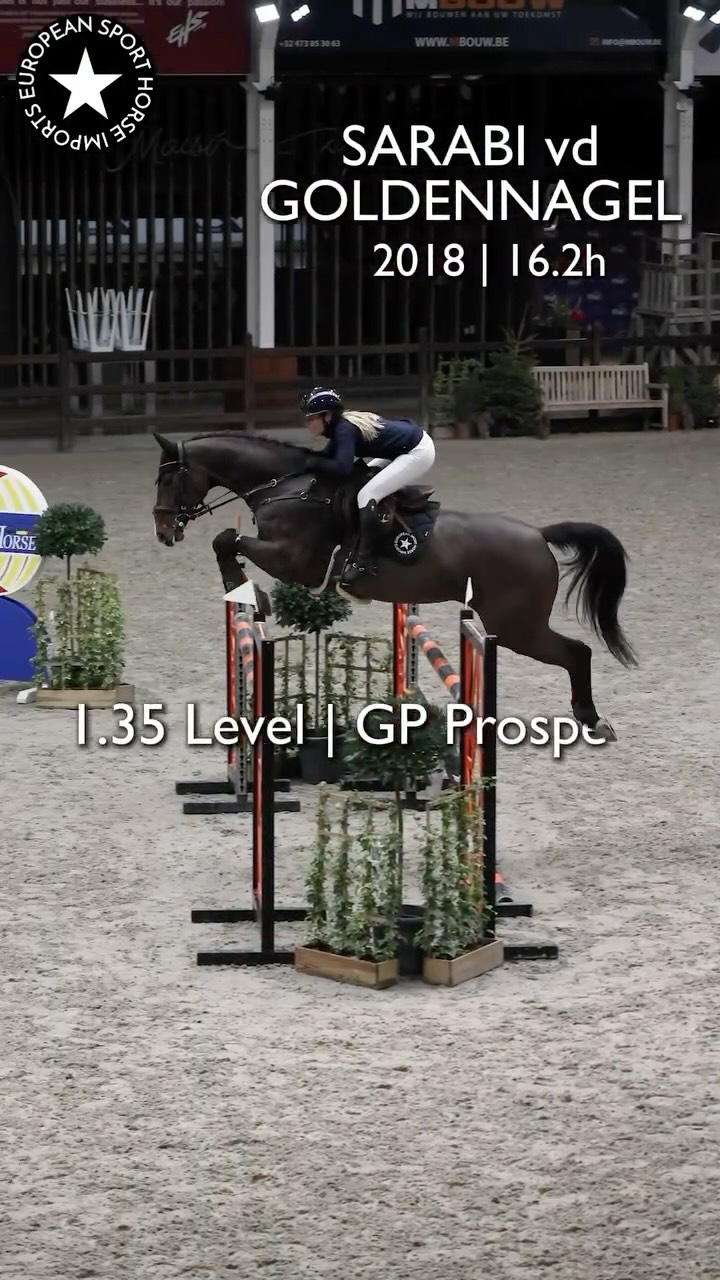 This new collection speaks for itself 🚀 🚀 🚀
Jumpers / Hunters / U25 / Talent Search / Hunter Derby
Send a message with what you need, horses available privately.