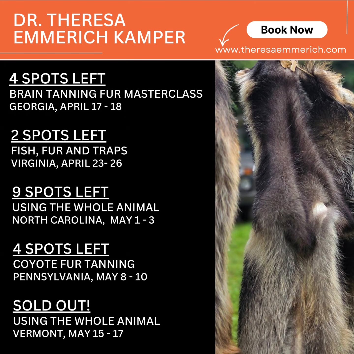 Here's a quick overview of the number of spots left in my USA courses in April and May. 😀🦌
This year it seems, more and more people are looking to learn traditional skills. In light of the general trend towards global instability I'm certainly happy to see this!
Slowing down and engaging with these skills in nature is immensely rewarding, on so many levels.
Anyway....the courses are filling up, and I'm looking forward to meeting you all!
#primitiveskills #traditionalskills #braintanning #bushcraft #furtanning