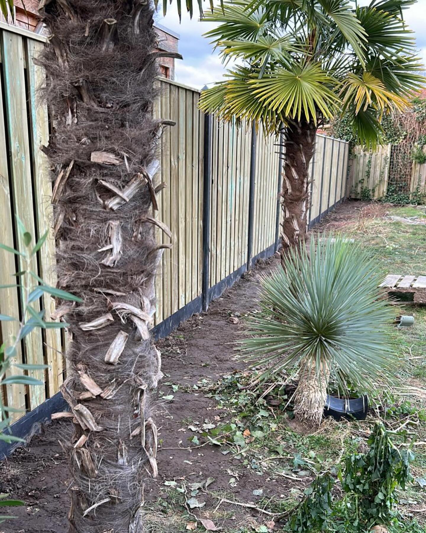 De eerste weken van het jaar ook alweer achter de rug. 🥶💪🏼