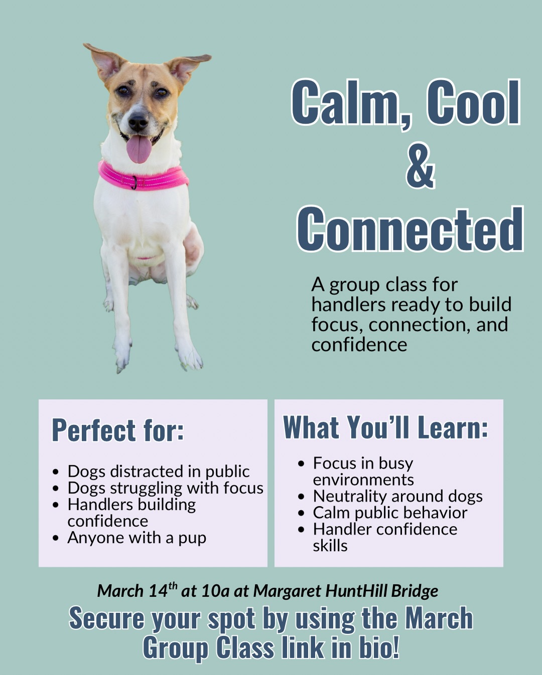 Want a calmer, more obedient dog? 🐾
Join our upcoming group class and learn the skills that make everyday life with your dog easier.
Limited spots available.
We start soon and there’s limited spots remaining. Make sure to sign up if you want to join this round!
Link in bio. 3/14 group class!
#dallasdog #dfwdogtraining #dallasdogtraining #dallasdogsofinstagram
