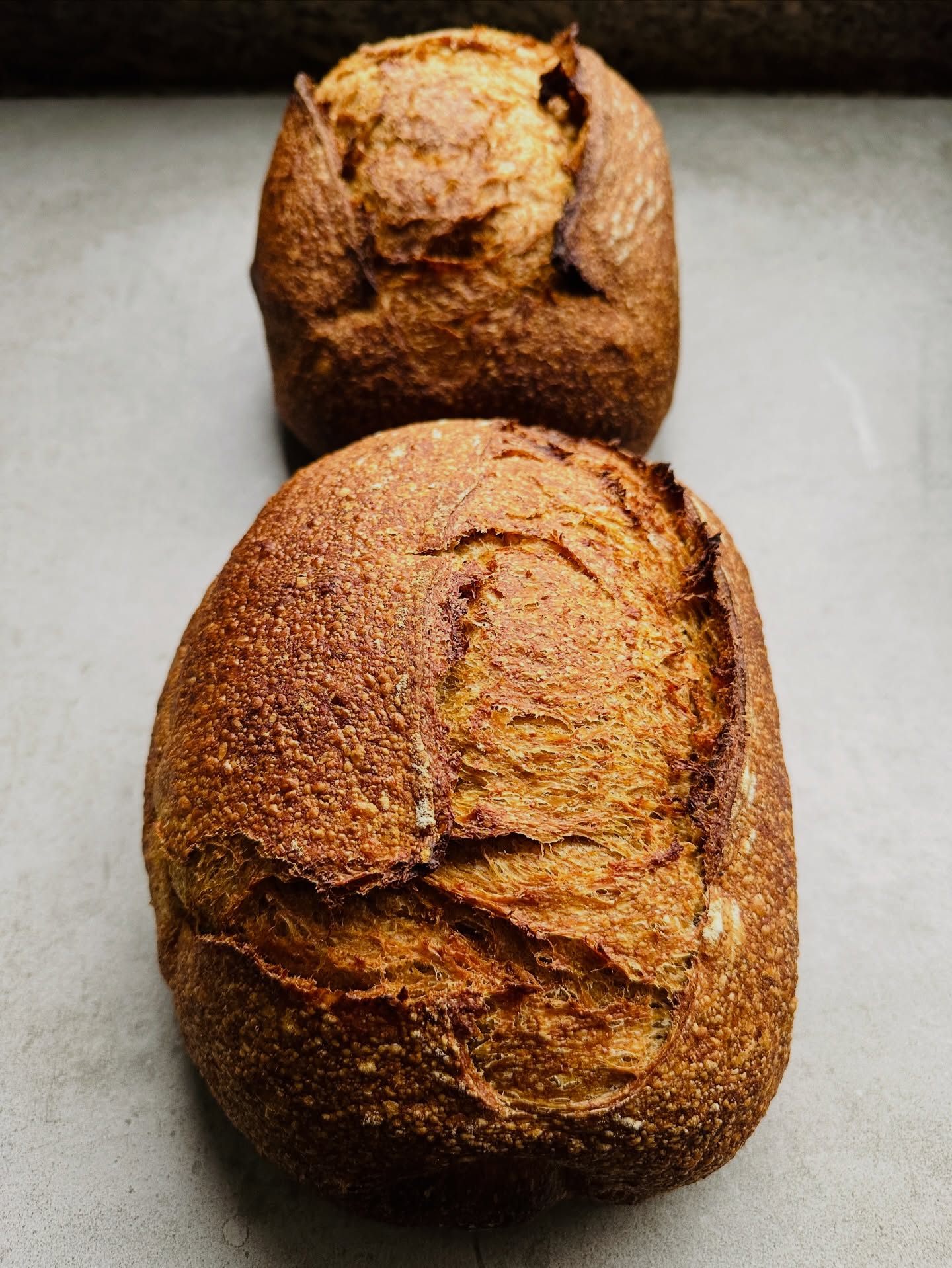 Pan de masa madre.
Ingredientes simples:
harina, agua, masa madre y sal.
Simple. Sabor auténtico.
-
#ensamblepan #panquito #sourdough #masamadre #realbread