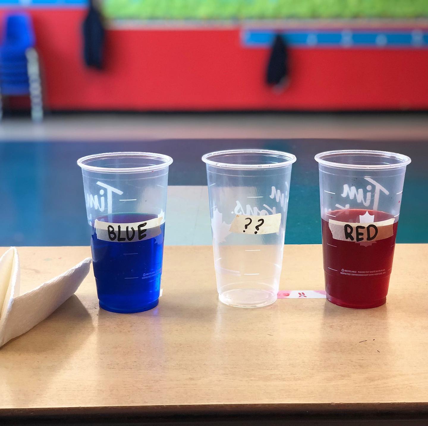 Elementary students enjoyed the colours of the travelling water #experiment. They explored how liquid can move up, defying gravity, in the same way that 🌱🌾 pull water from the soil. #alifcanada #alifcanadaschool #stem