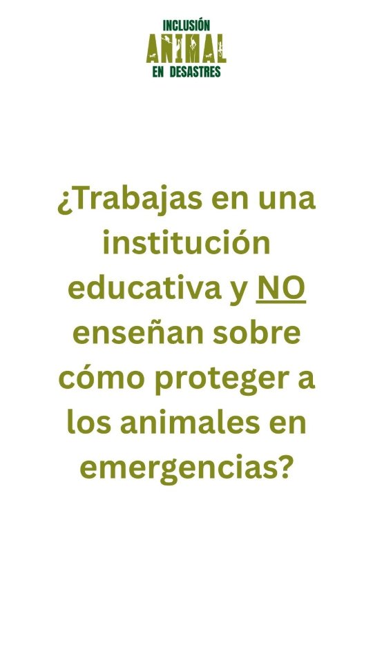 Si trabajas en una institución educativa y quieres integrar este tema, comenta 'PANFLETO' y te compartiré una guía con 5 pasos clave para educar y actuar. ¡La preparación salva vidas!
#educación #IADLatam #proteccionanimal #inclusionanimalendesastres