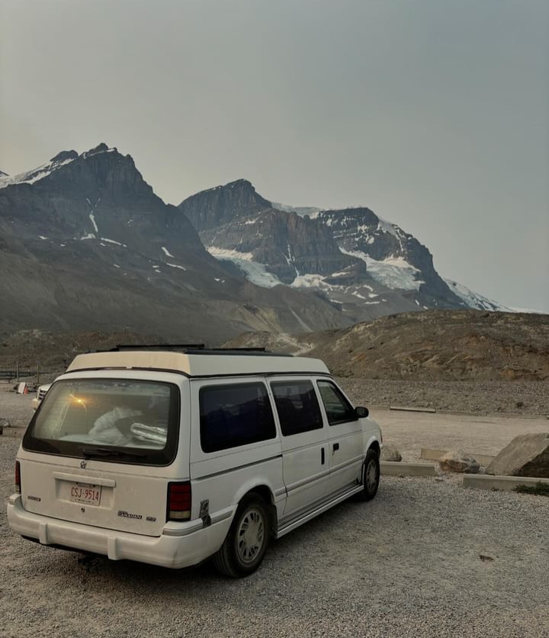 Tia has been out n about lately, thank you to @rose_baines and Hugo for taking care of her!