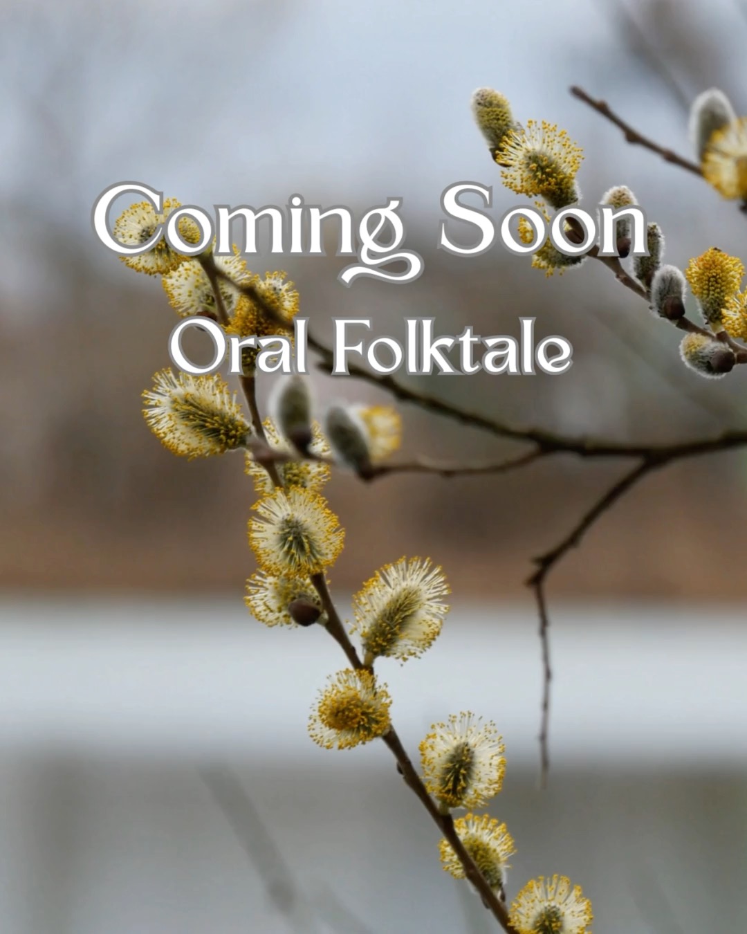 Coming Soon – Oral Storytelling: The Legend of the Pussy Willow
Along the edge of a wandering river, a litter of curious kittens stray a little too far in search of adventure…
What unfolds is a tale of peril and tenderness, of an unlikely friendship between small wandering paws and a quiet tree who watches over the flowing water.
But the seasons turn, as they always do, and every bond must one day face its moment of change.
Yet acts of kindness are rarely forgotten.
And somewhere within this gentle tale lies the secret of a gift that returns each spring.
A whimsical story of love, loss, and the hidden magic living quietly in the natural world.
Told aloud, as all true stories should be. Coming soon.
#LegendOfThePussyWillow #OralStorytelling #NatureFolklore #DannyEnglishStories #TalesOfTheTimelessForest
