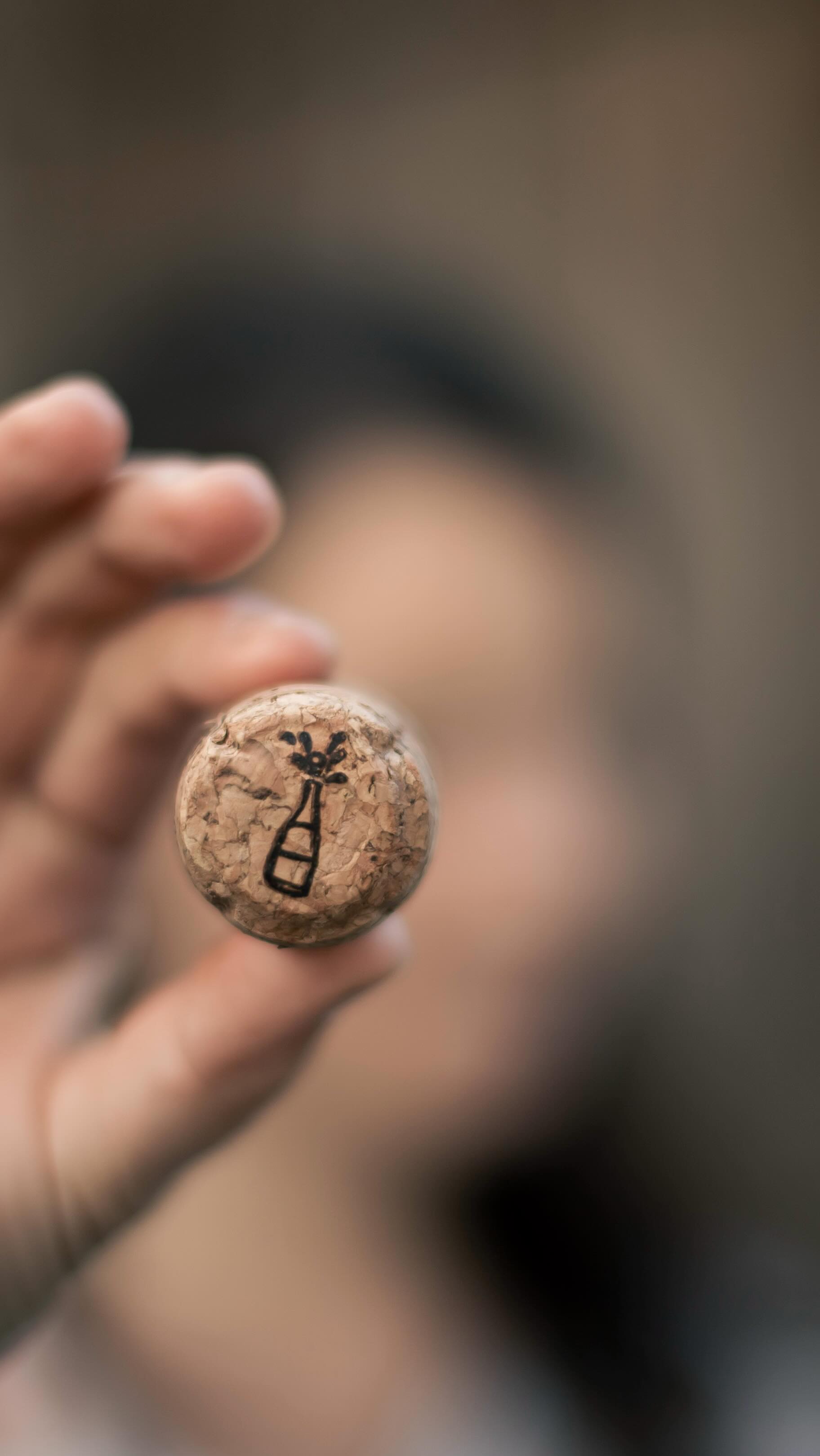 Hoch die Hände - Rebschnittende! 🍾✂️ Jetzt wo ich sie erst wieder in einem Jahr brauche, kann ma ja auch damit sabrieren! 🌞 Cheers! 🍾🫶🏼 #sabrage #huglsprudel #austriansparkling