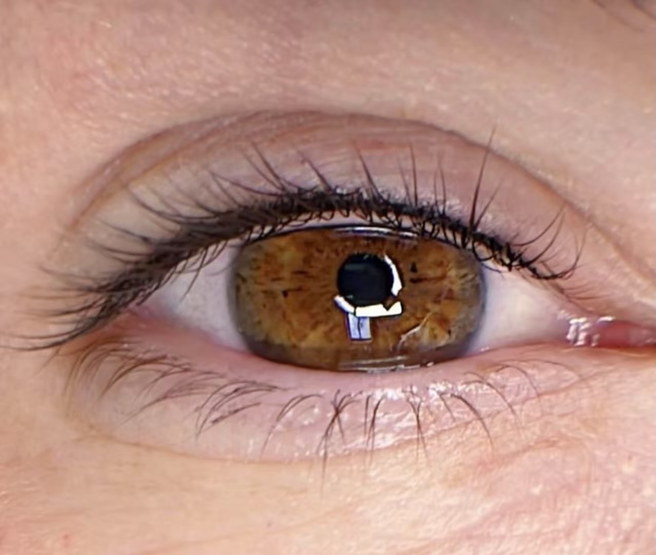 Eyeliner PMU #pmu #sofia #eyeliner