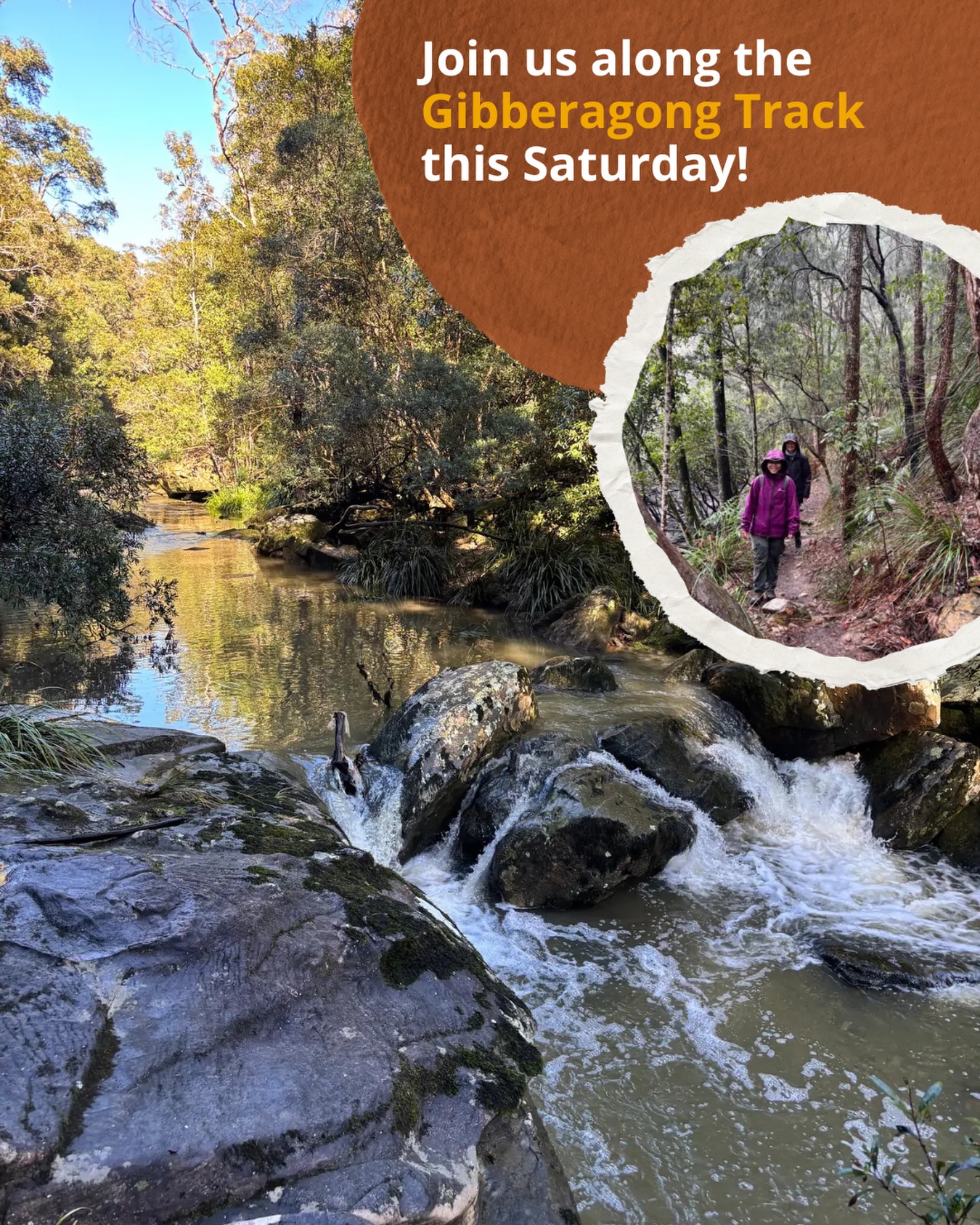 Step into the lush beauty of the Gibberagong Track, where cool rainforest gullies meet the serene salt marshes of Bobbin Head. This journey offers a grounded escape into nature, balancing peaceful creekside wandering with rewarding sandstone ridge views.
📍 Meeting Point: End of Bobbin Head Road, North Turramurra
📅 Date: Saturday, 15 March, 2026
🕘 Time: 8:00am – 12:00pm
📏 Distance: 10 km (one-way)
🥾 Activity Level: Intermediate | Moderate fitness required
👣 Group Size: 3 - 6 participants (plus Seek Sista guide Kirsty)
Link to join us is in bio 🙌💚