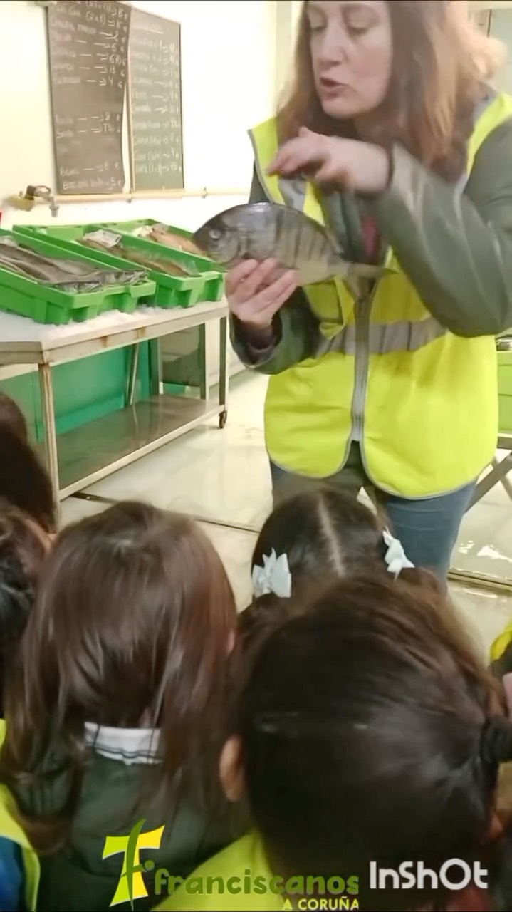 Hoy en infantil cambiamos las aulas por el puerto!!
Aprendimos cómo se subasta el pescado, los nombres de algunos peces que no conocíamos, vimos una máquina de hielo y además nos subimos todos juntos en una super báscula, y no somos tan pesados!! 🤣🤣
#colegiofranciscanos #colegiofranciscanoscoruña #educacionenvalores #portodacoruña #lonxadacoruña