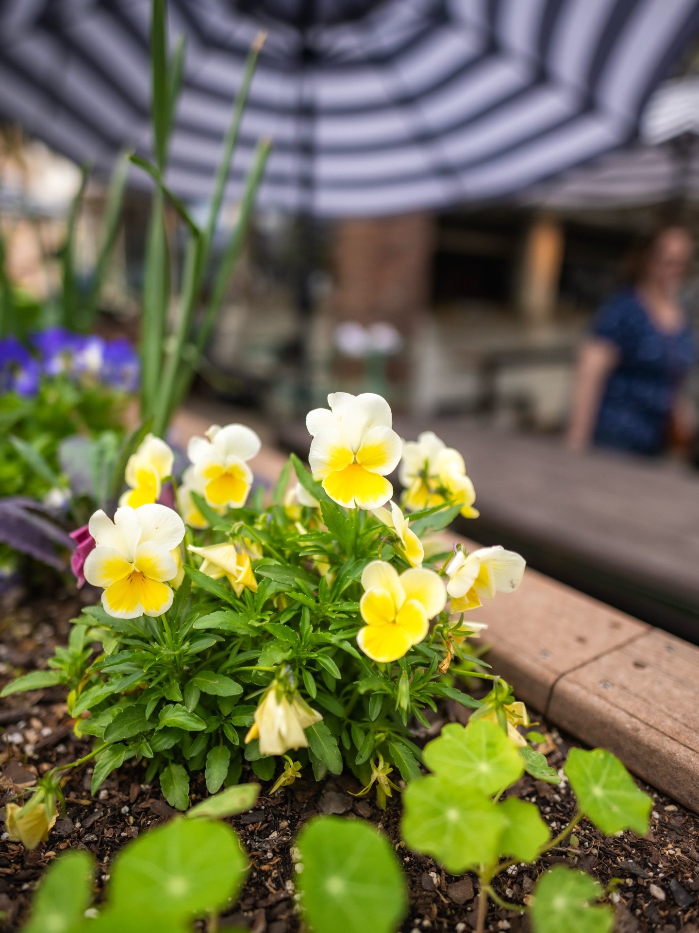 Sundays at Oddfellows ❣️