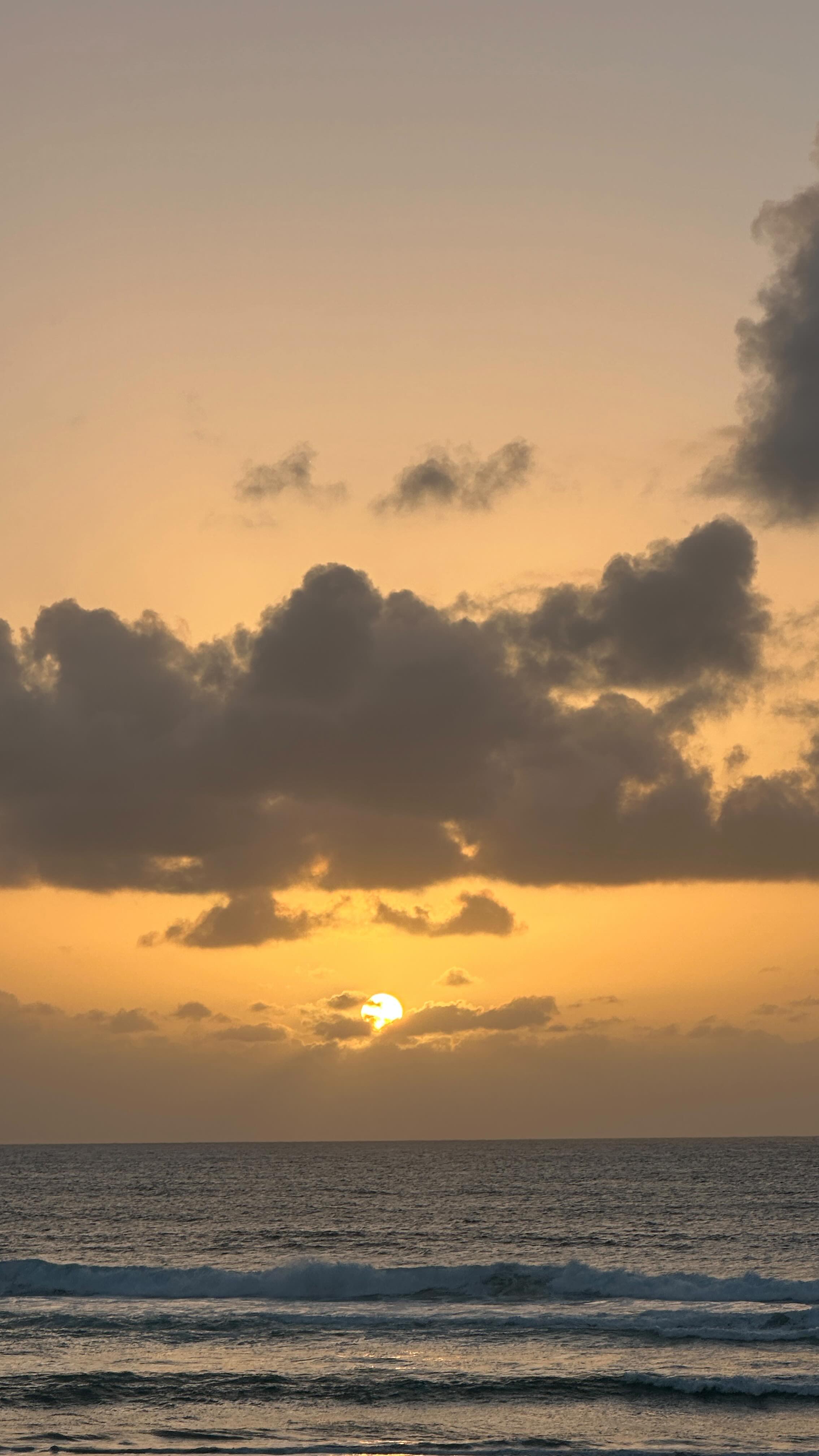 Ich wünschte, ich hätte das viel früher verstanden 🥺
Viel zu lange bin ich über meine Grenzen gegangen und dachte, es sei normal ständig erschöpft zu sein, Haut- und Darmprobleme zu haben & eine Nebenhöhlenentzündung nach der nächsten mitzunehmen 😥
1–2 Jahre lebte ich im Wechsel zwischen Antibiotika, Cortison und Schmerzmitteln. Ich wurde immer wieder ins Bett gezwungen – wollte es aber nicht wahrhaben und hab immer weiter gehustled. Sogar eine Nasen-OP war meine letzte Hoffnung. Ohne Erfolg 🥺😩
Als mein Arzt irgendwann sagte: „Ich kann Ihnen nicht mehr helfen“, war das mein Awakening.
& in den Sitzungen mit meiner Heilpraktikerin wurde mir klar:
- Mein Nervensystem war komplett überlastet.
- Mein Darm-Mikrobiom durch die vielen Antibiotika extrem geschwächt.
- Mein Lifestyle & mein Job alles andere als gesund für mich
- und mental war ich im Dauerstress.
Ich musste mein Leben um 180 Grad drehen: Yoga, echte Pausen, innere Arbeit, kein Rauchen, kein Alkohol mehr, bessere Ernährung, mehr Schlaf, toxischen Job gekündigt, für meine Träume losgegangen ✨🧚🏽♂️
Und vor allem: Liebe für meinen Darm mit einer Darmkur, um mein Mikrobiom wieder aufzubauen & Nährstoffen, die mein Immunsystem aufbauen 💛
>>> kommentiere RESET, wenn du Tipps für eine richtig wirksame und unkomplizierte Darmkur möchtest!
& so wurde Schritt für Schritt alles besser ✨🥹
- Mein Immunsystem wurde stärker
- Meine Haut reiner & strahlender
- Meine Energie kam zurück
- Ich habe mich selbst wieder gefunden & mir mein schönstes Leben erschaffen
Und doch wünschte ich es hätte nicht erst so schlimm kommen müssen..🥺
Darum: Bitte warte nicht, bis dein Körper dich zwingt hinzuschauen. Kümmere dich früher um dich, schenk deinem Körper Liebe. Nähre ihn gut, Geh achtsam mit ihm um, pflege ihn - er ist dein Zuhause in dieser Welt 🧡
#darmgesundheit #darmkur #müdigkeit #energielosigkeit unreinehaut reinehaut immunsystem stress reset
