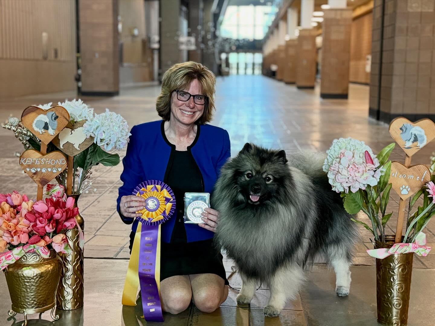 What a day! 🎉
It’s been an absolute whirlwind, but I’m so thrilled to share that Dillon can now add BISS to his name!
Pam showed Dillon to an incredible Best of Breed win at the Heart of America Keeshond Club Specialty today, and just beforehand, Dillon also won Best Junior with the talented Kenzie Sorensen!
As his breeder, I was also honored with a beautiful ribbon, which made the moment even more special.
BISS BISSw GCH Peregrine Green and Gold Trifecta RATS BCAT CGC TKA
Owned and handled by Pam Catalano
Bred by me
So very proud of Pam and Dillon, and grateful to the HOAKC Club who put on such a fun event.
Also - try finding a table in Kansas City on a Saturday night for 9 people to celebrate a win. DoorDash and grooming tables to the rescue 😁