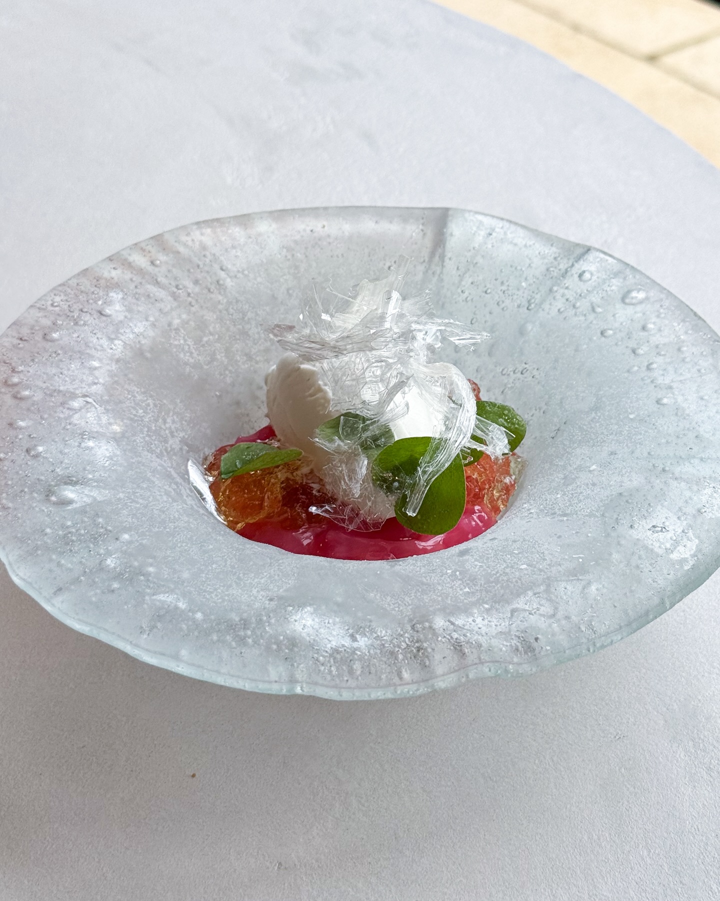 The Sorrel, Rhubarb and Chamomile dessert at Moda.
Yorkshire rhubarb from Tomlinson’s Farm, layers of fresh rhubarb and sorrel sorbet, Sauternes jelly and rhubarb gel. Finished with chamomile ice cream and a delicate sugar tuile.
