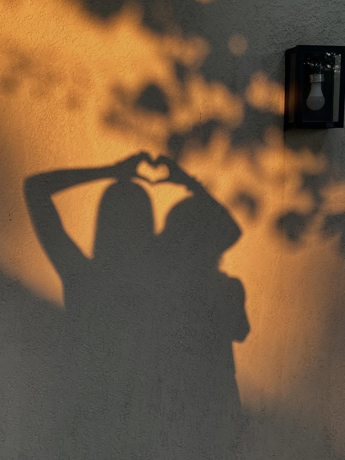 ✨Celebrating International Women’s Day✨
So much to say at a time when women’s rights are threatened worldwide.
May you take comfort in the wisdom of the incredible women below and those in your own lives.
“I am not free while any woman is unfree, even when her shackles are very different from my own.” - Audre Lorde
“Women belong in all places where decisions are being made. It shouldn’t be that women are the exception.” - Ruth Bader Ginsburg
“Human rights are women’s rights, and women’s rights are human rights.” — Hillary Clinton
“Every woman’s success should be an inspiration to another. We’re strongest when we cheer each other on.”
- Serena Williams
“They’ll tell you you’re too loud, that you need to wait your turn and ask the right people for permission. Do it anyway.” Alexandria Ocasio-Cortez
“I have learned you are never too small to make a difference.” - Greta Thunberg
Share your words of wisdom below 👇 ( credit to @thehousebelonging )
#internationalwomensday #londonyogateacher #yogatherapist #yogaforwomen #yogaeverywhereigo