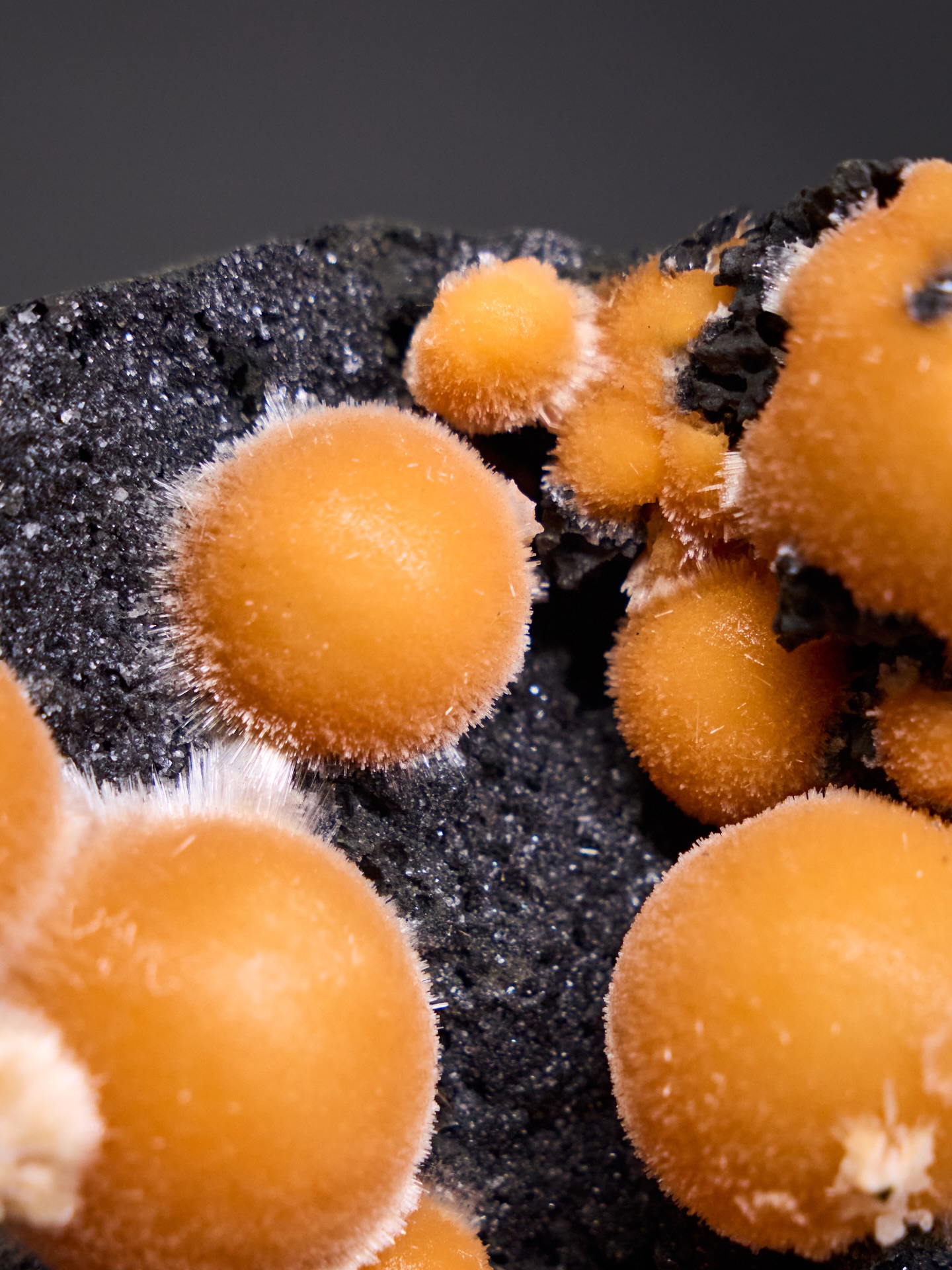 MINERAL MONDAY ✦ THOMSONITE
Some minerals look almost too soft to be stone.
This vibrant Thomsonite from Madhya Pradesh in India forms in delicate, spherical clusters that almost resemble tiny glowing suns. Their soft, velvety surface and warm orange colour make them instantly captivating.
Thomsonite belongs to the zeolite mineral family and often grows in volcanic rocks, where mineral-rich fluids slowly create these unusual rounded formations.
Each sphere forms crystal by crystal - patiently, layer by layer - until these remarkable natural shapes appear.
In our in-house mineral museum, you can discover this piece up close and see how light brings out its texture and colour.
And for those looking for something truly unique for their home or a special gift, selected mineral specimens and one-of-a-kind pieces are also available in our online shop.
Nature never repeats itself and that’s exactly what makes every mineral so fascinating.
#mineralmonday #mineralmoments #mineralienhotel #mineralhotel #minerals #mineralspecimen #mineralmuseum #thomsonite #crystallovers #thomsonitejewelry #mineralcollection