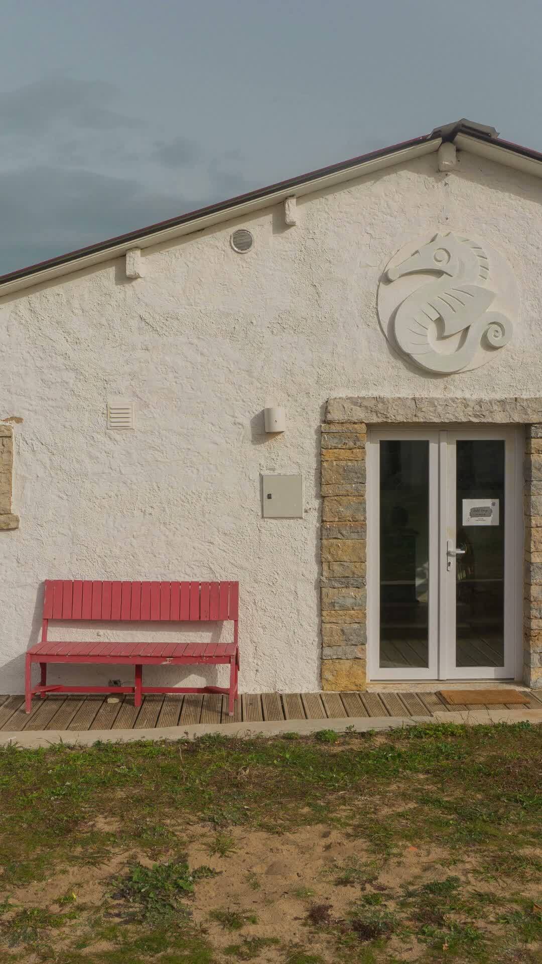 Sushi na Aldeia? Sim, por favor.
@matsu_wine_sushi
Sushi in Aldeia? Yes, please.
@matsu_wine_sushi