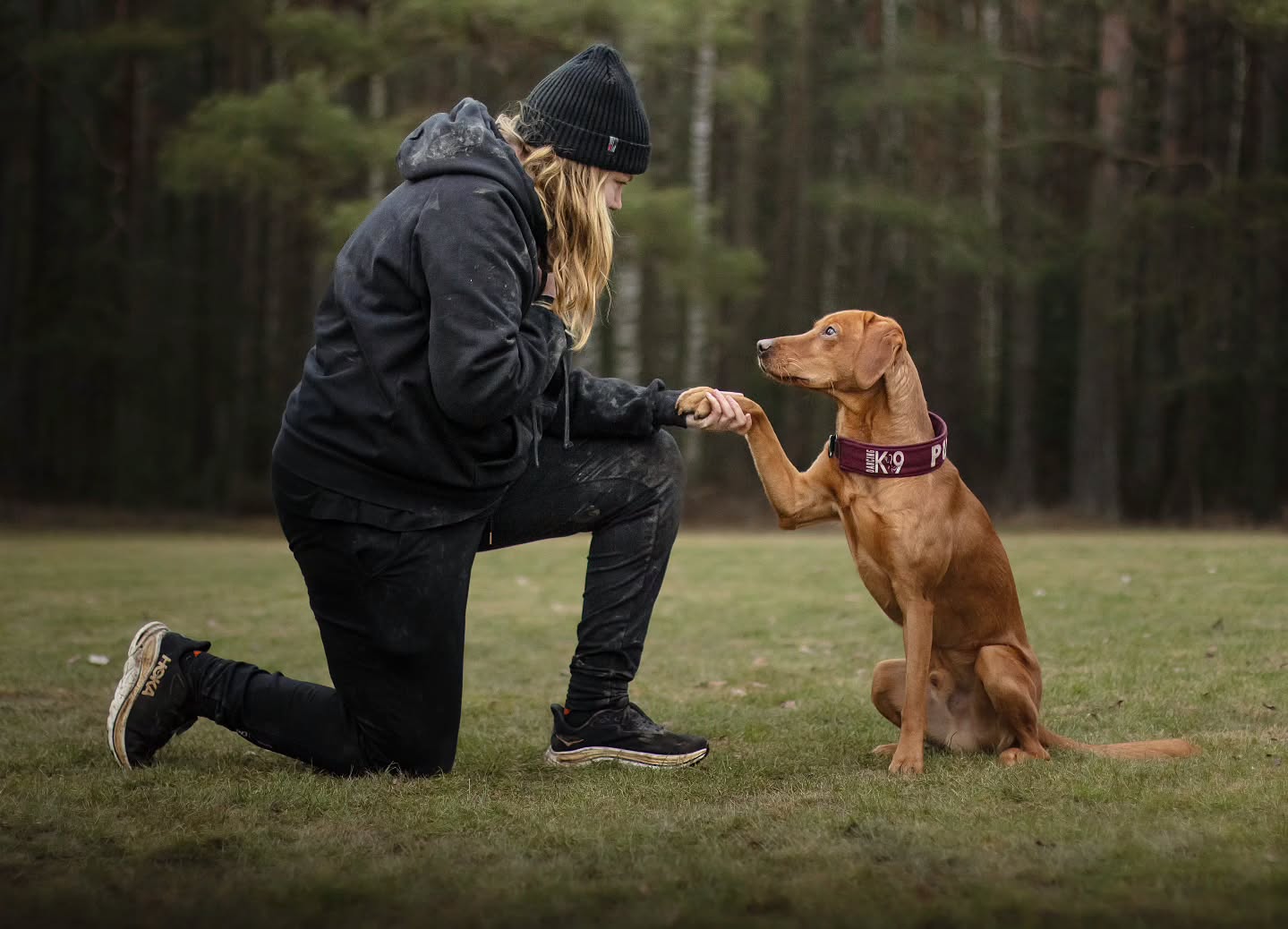 I never really saw myself owning a Labrador before, but here we are and I honestly can't picture my life without one now ❤️
Pum-Pum, Mr. Pumbastic, Bumbi... Pumbaa. I love you so much! Crazy, clumsy and all over the place, but oh so sweet, funny and loving ❤️