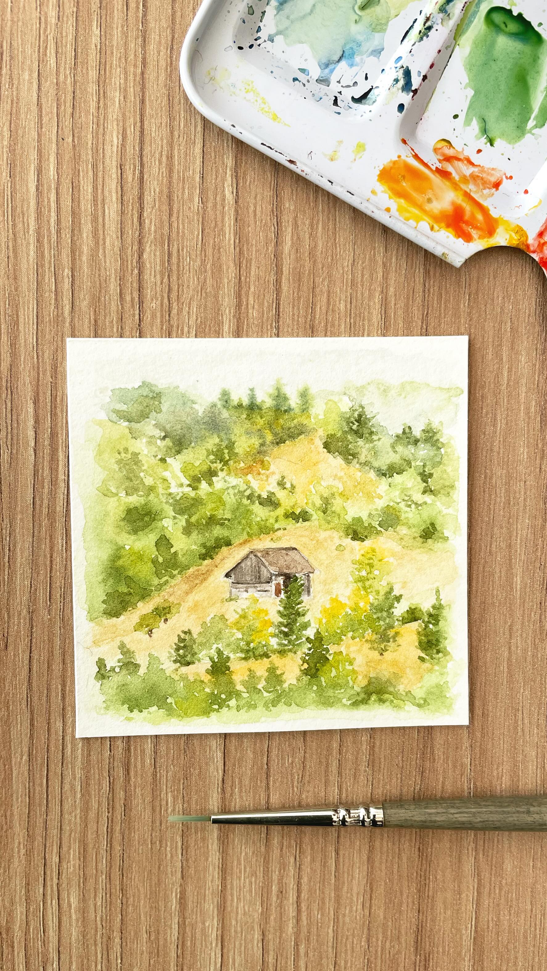 “Tiny” houses 🏡