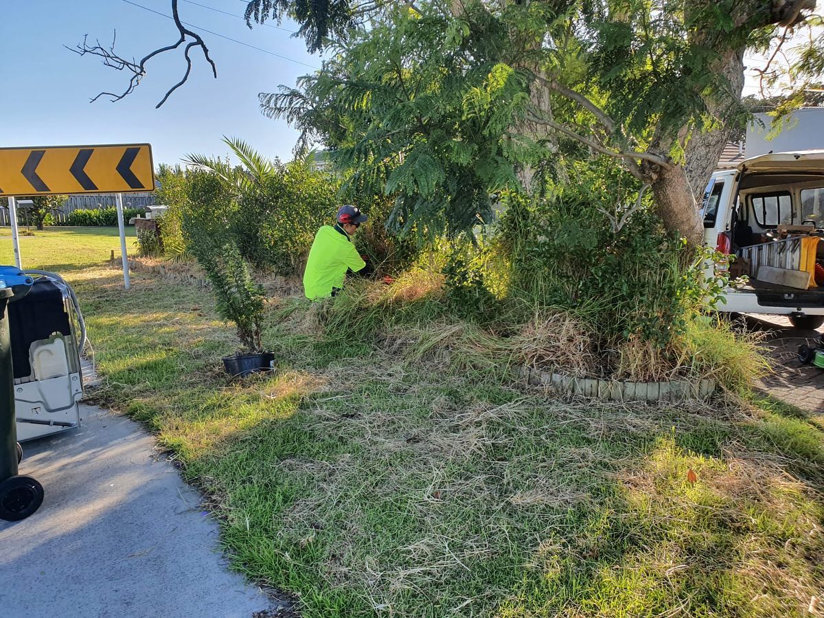 Clearing an overgrown garden bed and mowing the grass