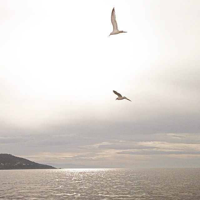 Love this the view#naturlover #natureza #naturephotography #natur