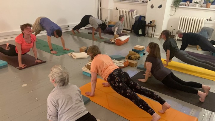 Forward extension week. Super speedy #sunsalutations followed by cooling forward extensions and twists. #marichyasana #suryanamaskar #iyengaryoga #yogasarvasya